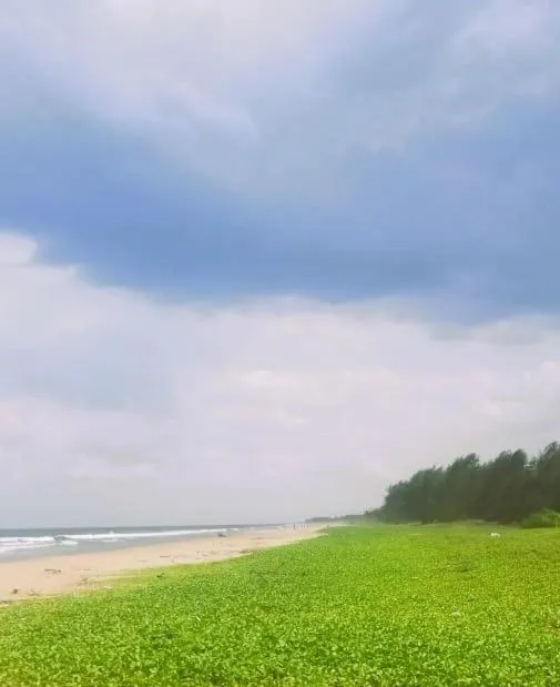 Day in Chan Beach Resort & Hotel