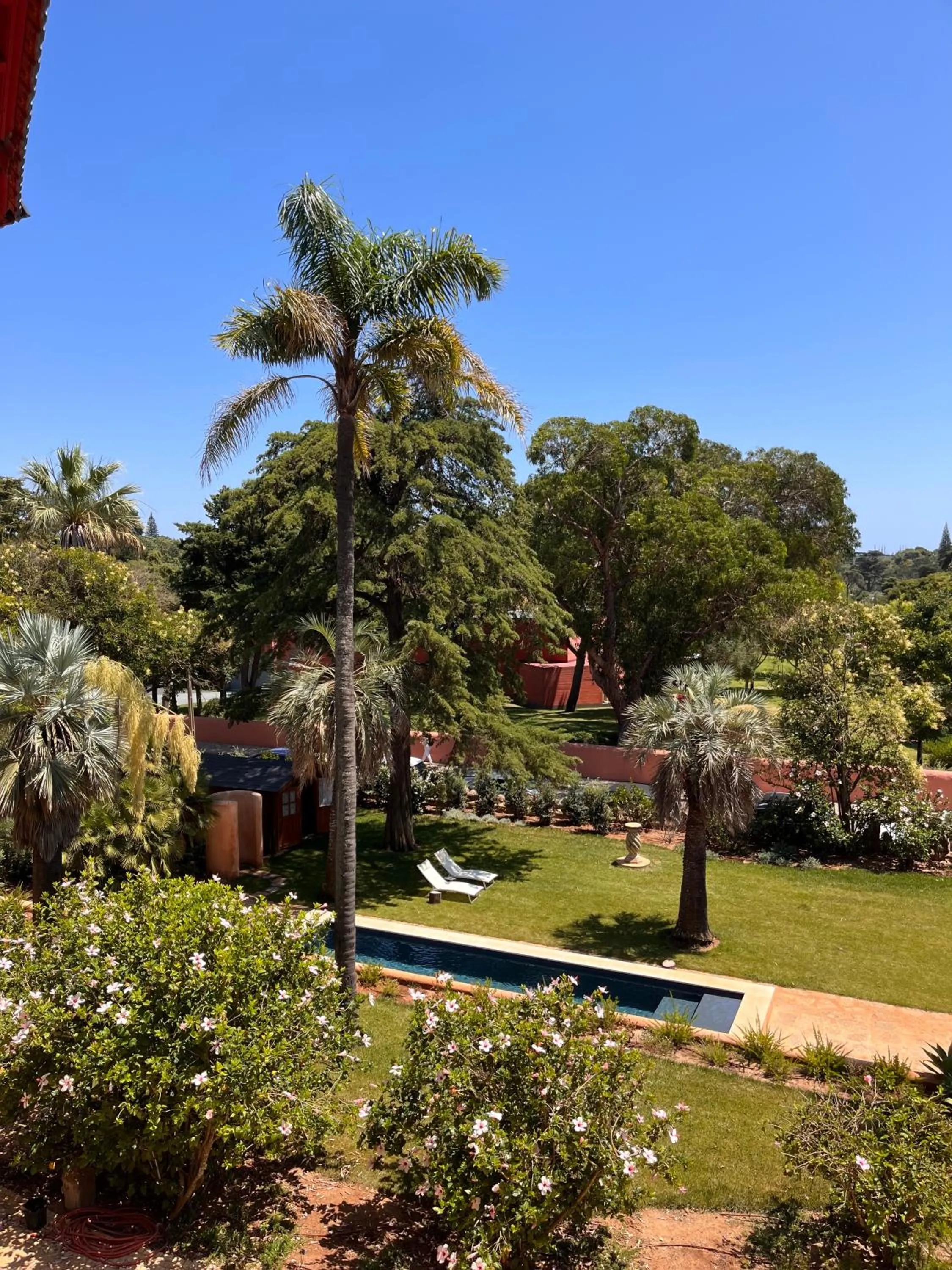 Garden in Chalet Ficalho