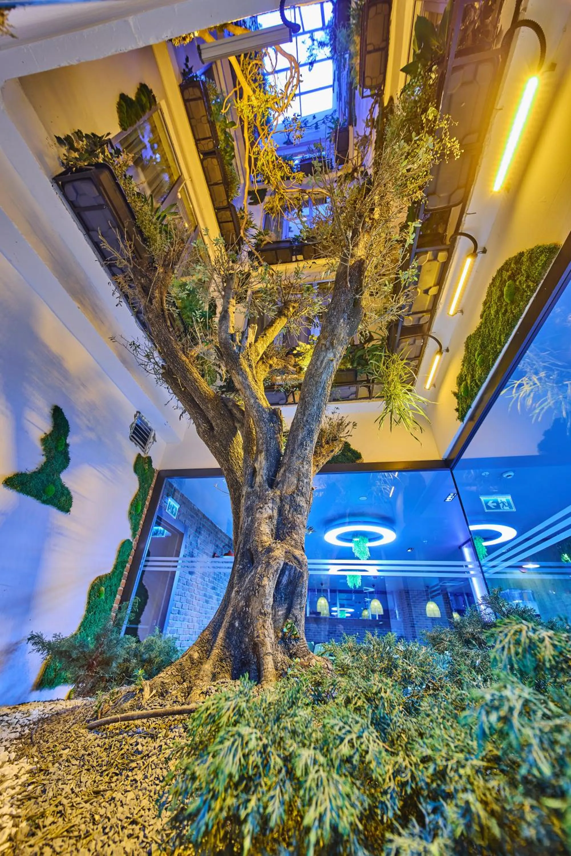 Patio in Ibis Istanbul Airport