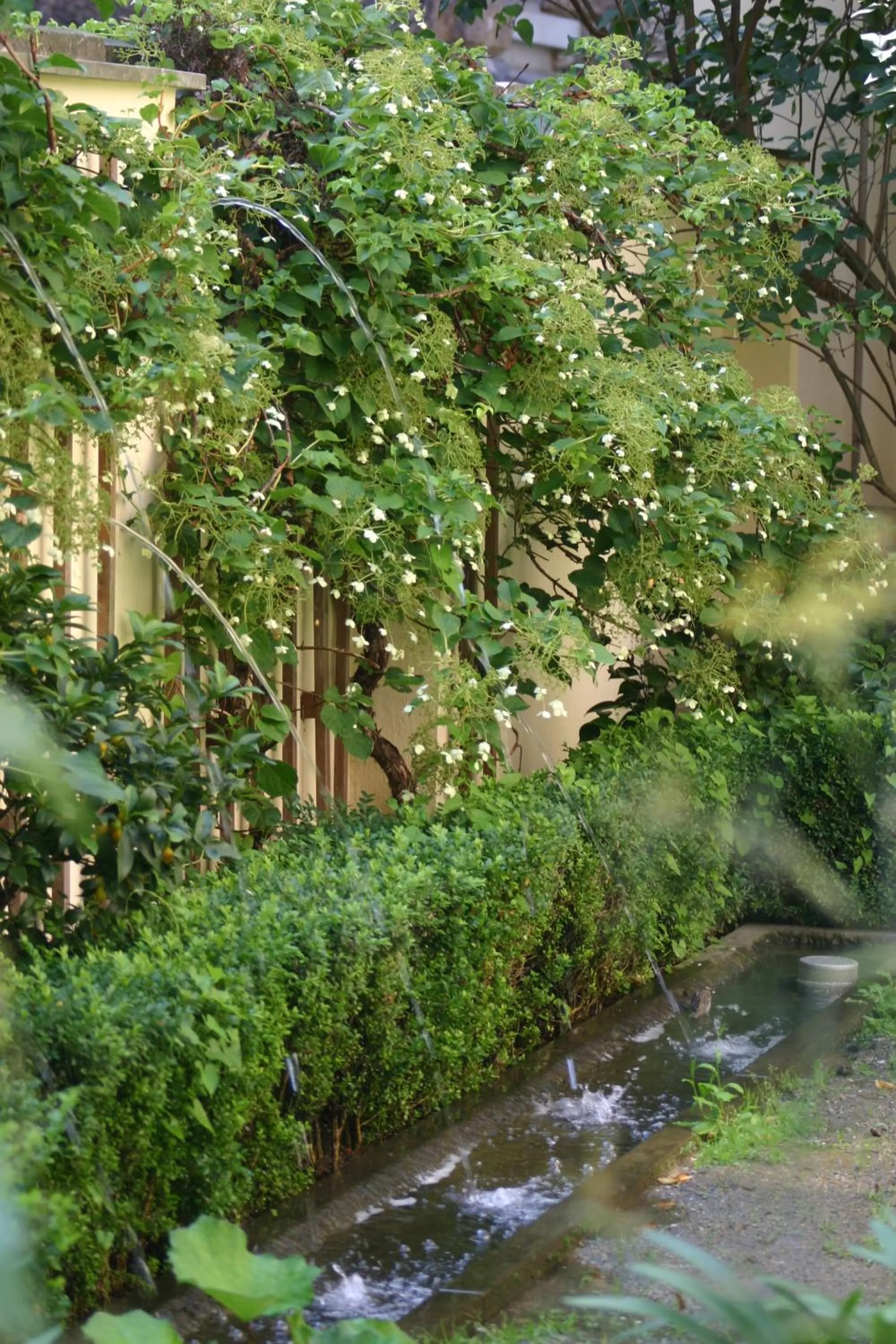 Garden in Hofgärtnerhaus