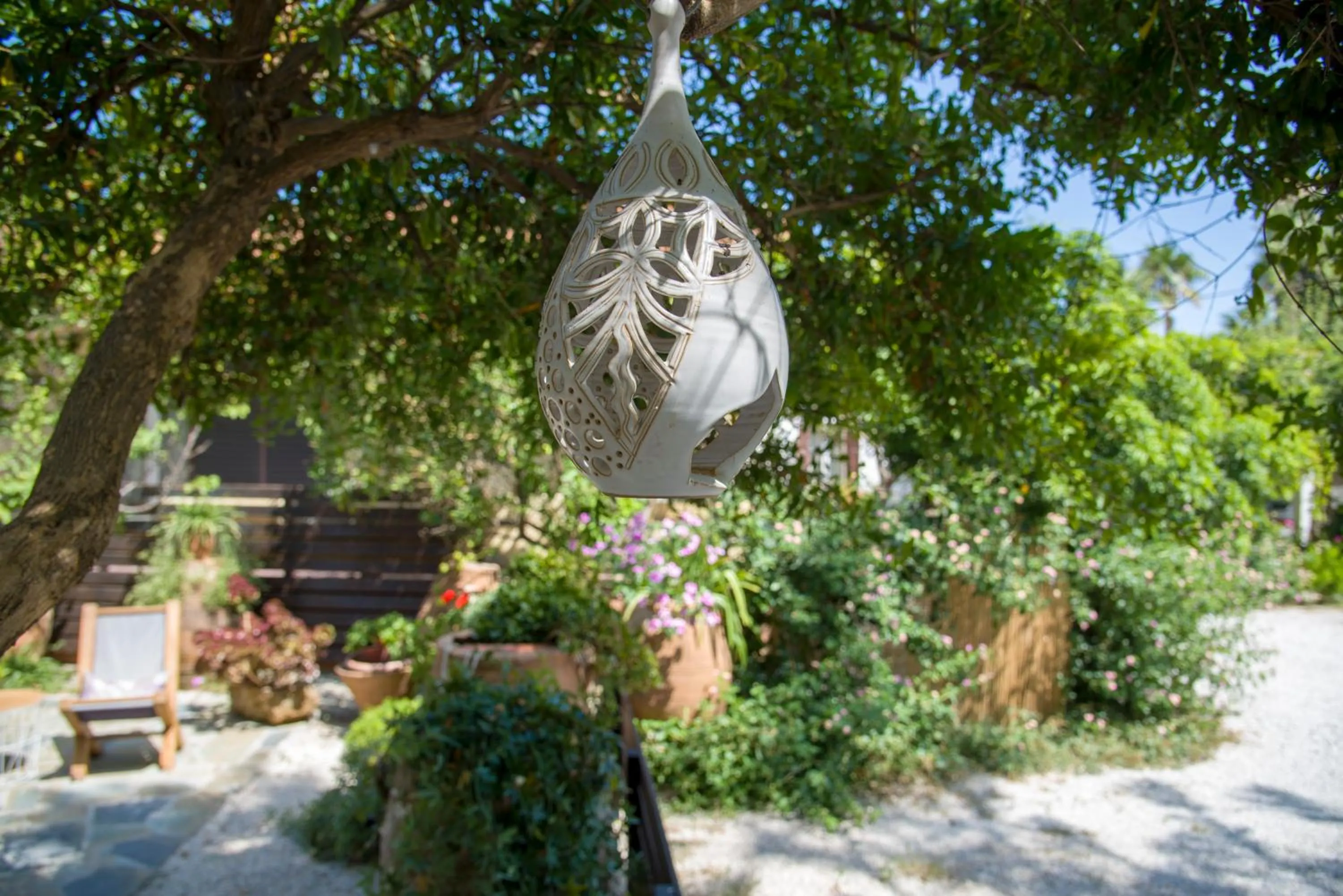 Garden in Evangelos Apartments