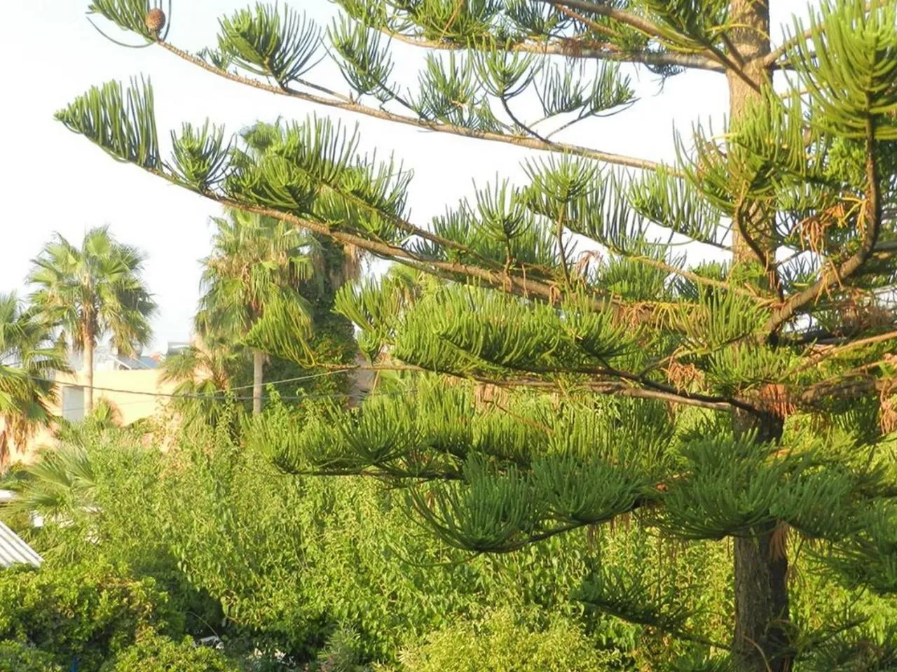 Other in Evangelos Apartments