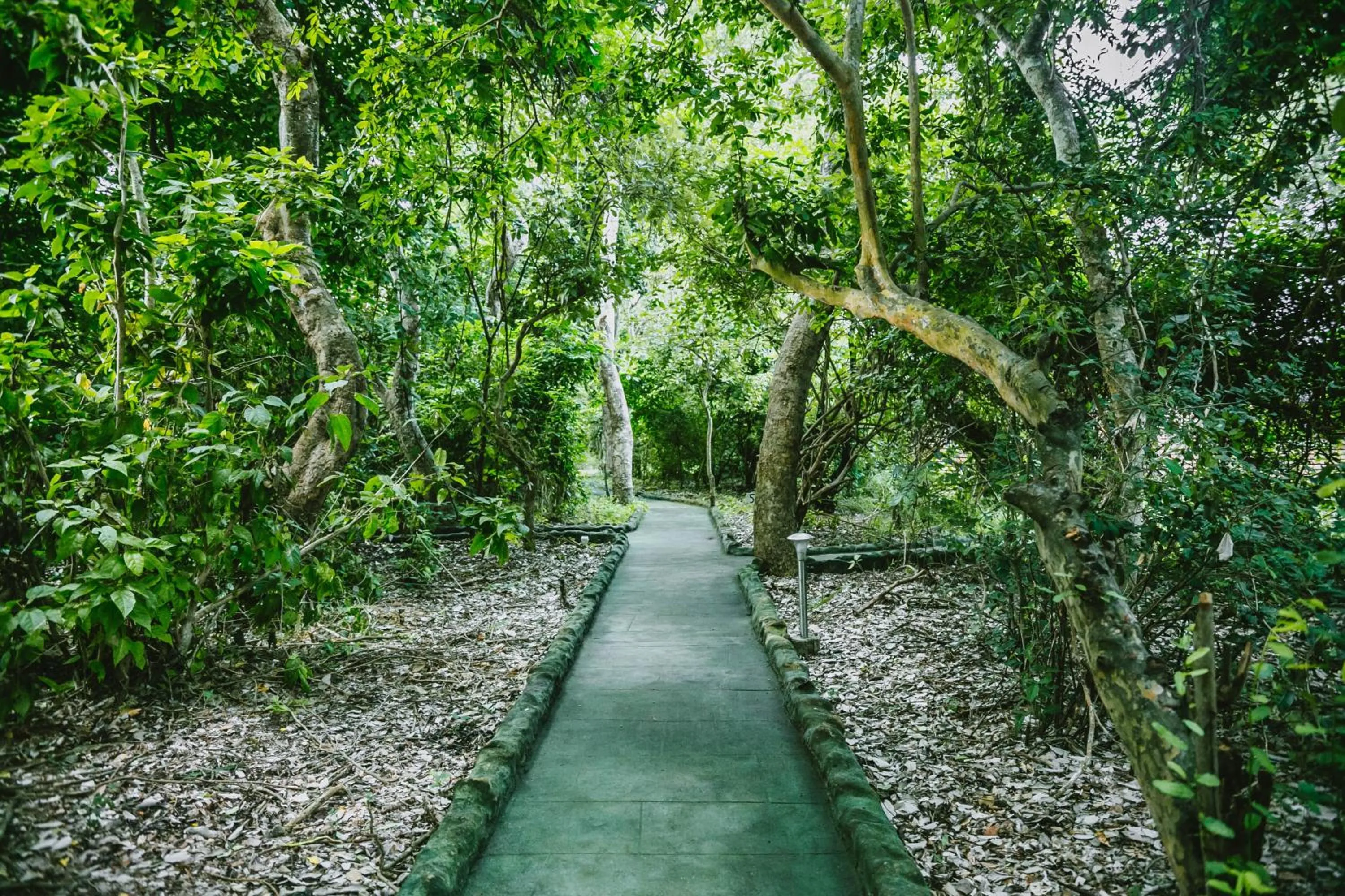 Patio in Selous Kinga Lodge