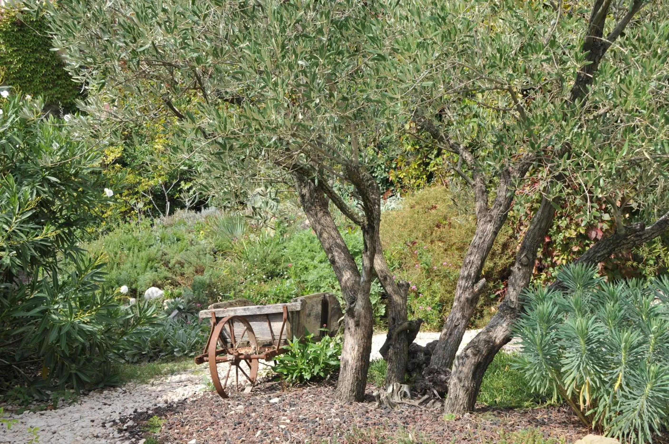 Garden view in La Maison du Passage - Chambres - Suites premium, Spa, Piscine et Restaurant