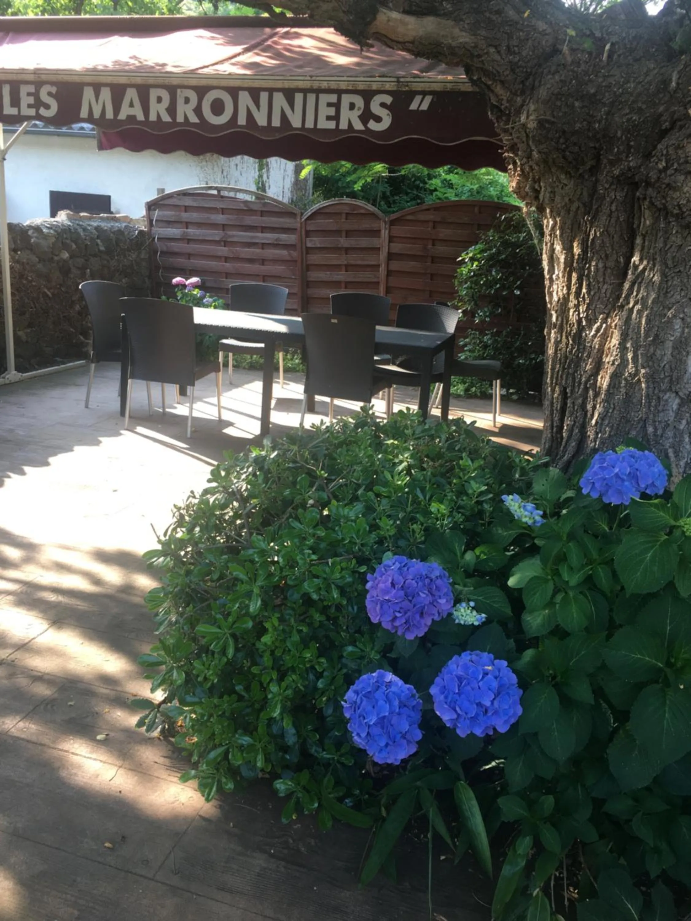 Garden in HOTEL LES MARRONNIERS