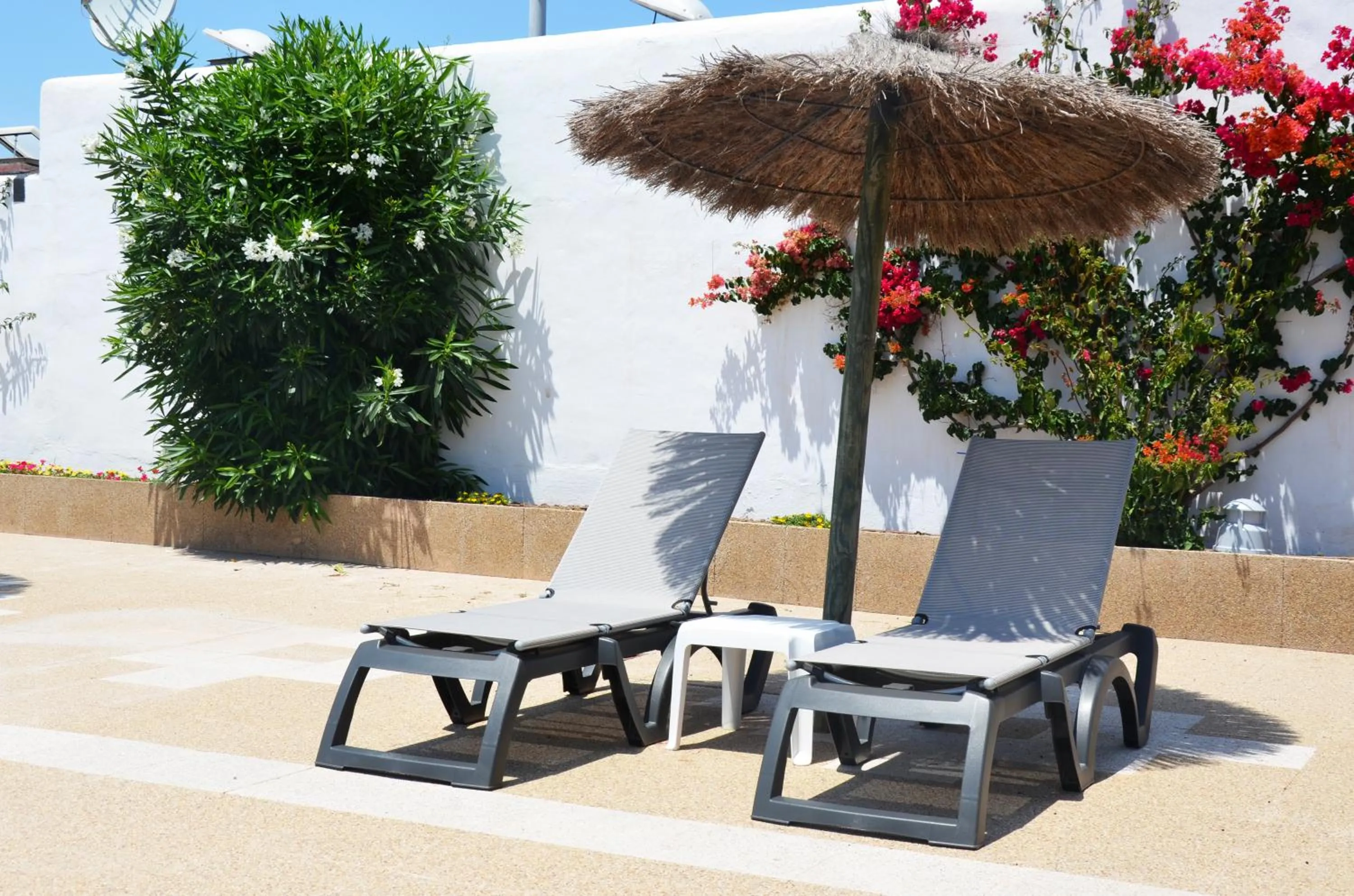 sunbed in Hotel Apartamentos Vibra San Marino