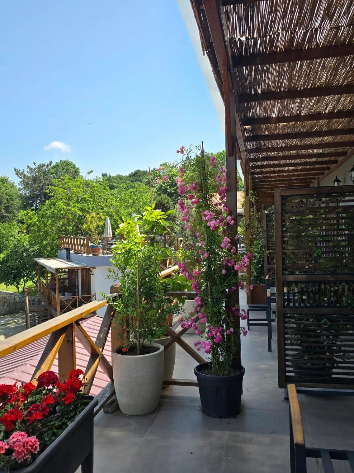 Balcony/Terrace in MAVİ AT HOTEL Blue Horse
