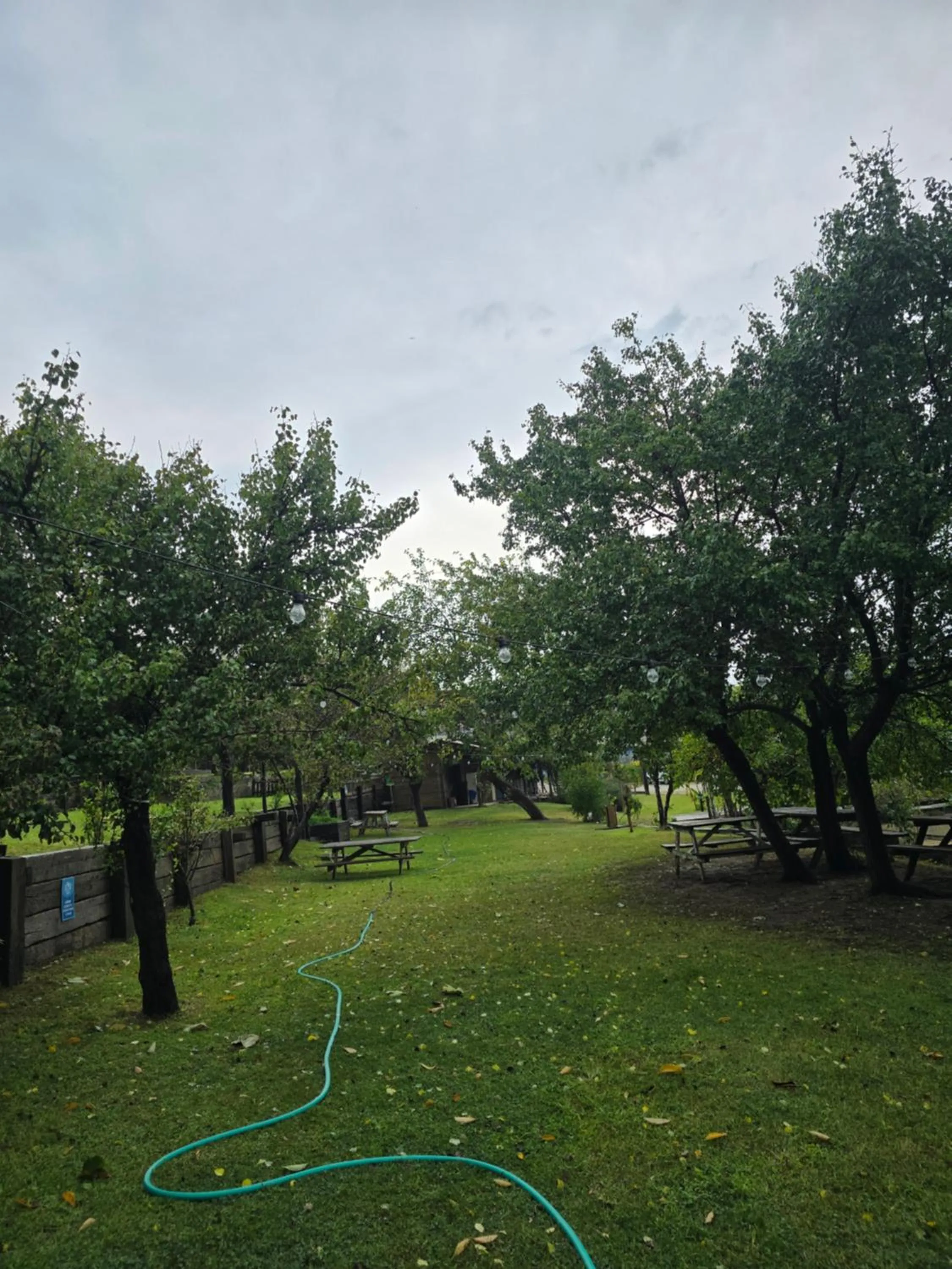 Property building in MAVİ AT HOTEL Blue Horse