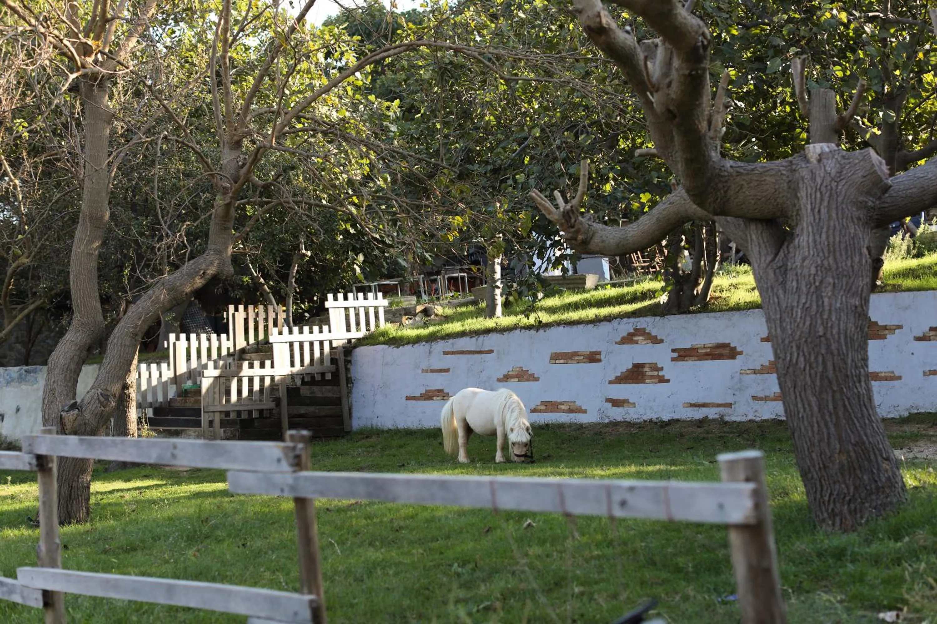 Natural landscape in MAVİ AT HOTEL Blue Horse