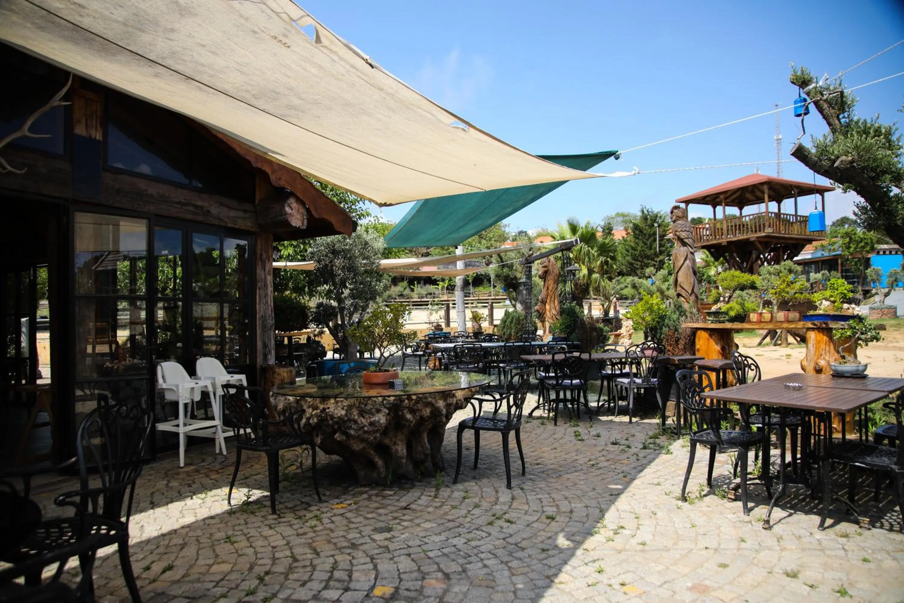 Restaurant/places to eat in MAVİ AT HOTEL Blue Horse