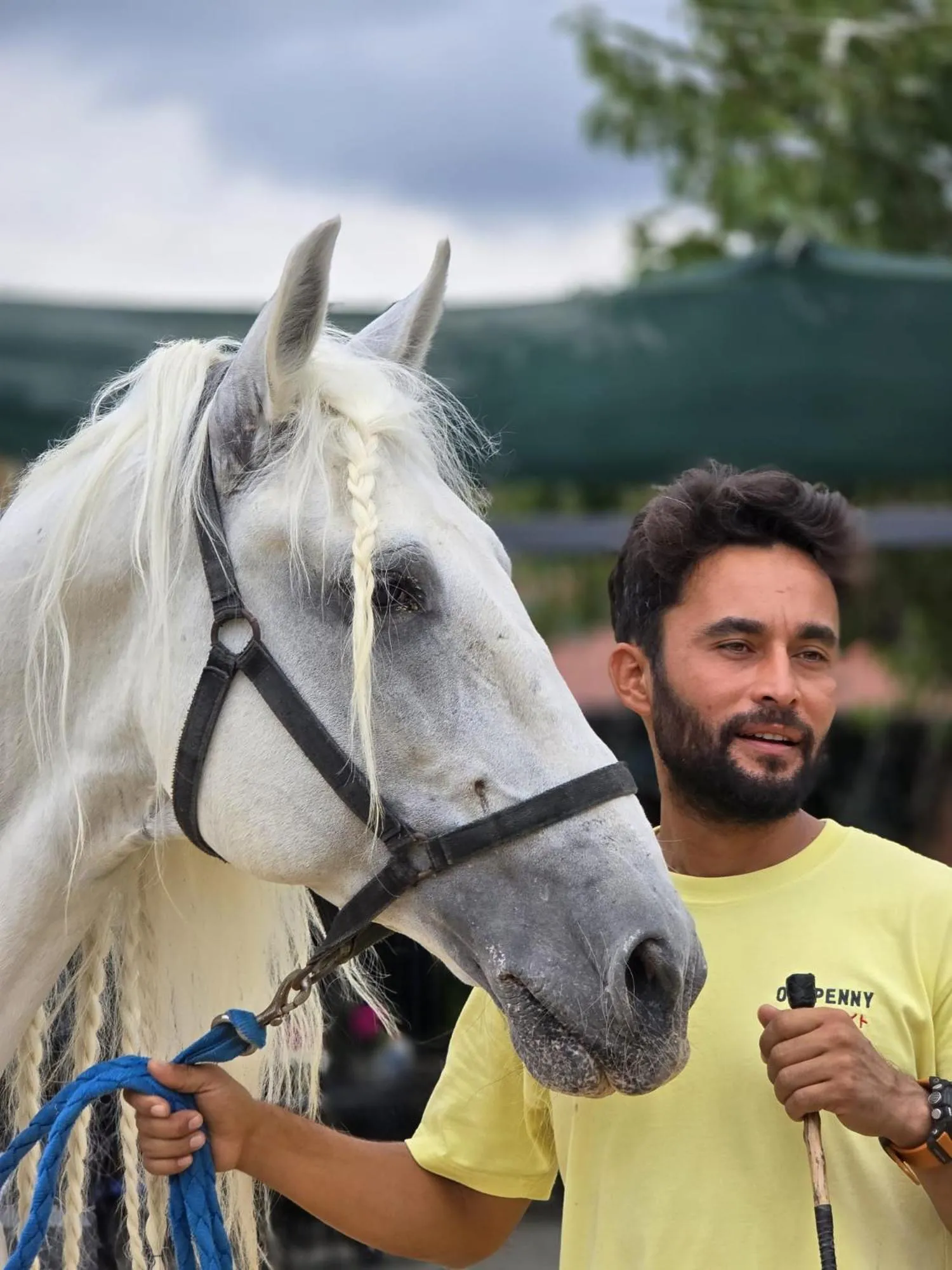 Day in MAVİ AT HOTEL Blue Horse
