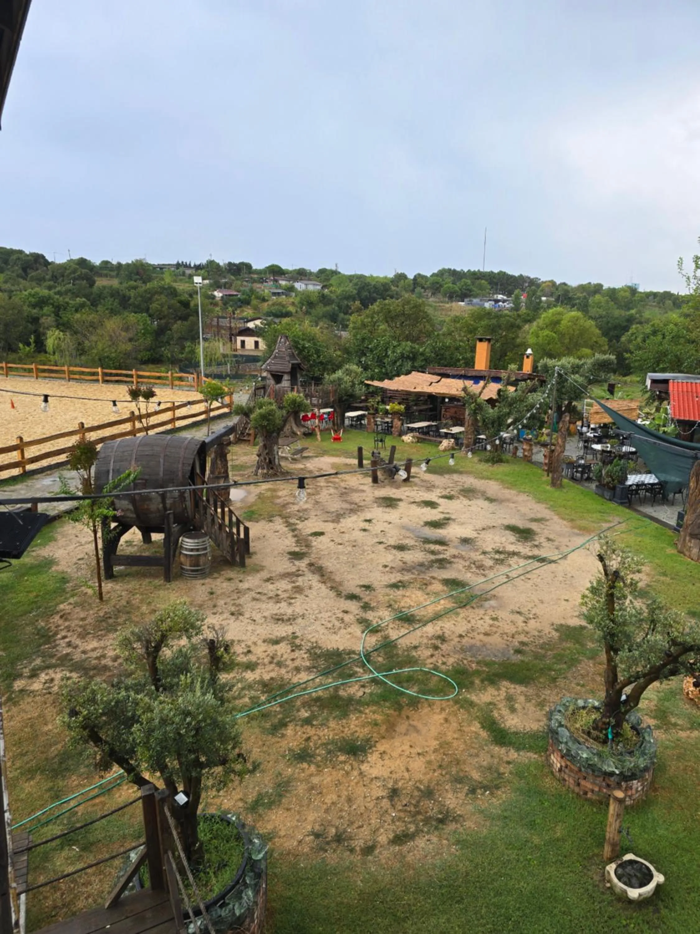Garden in MAVİ AT HOTEL Blue Horse