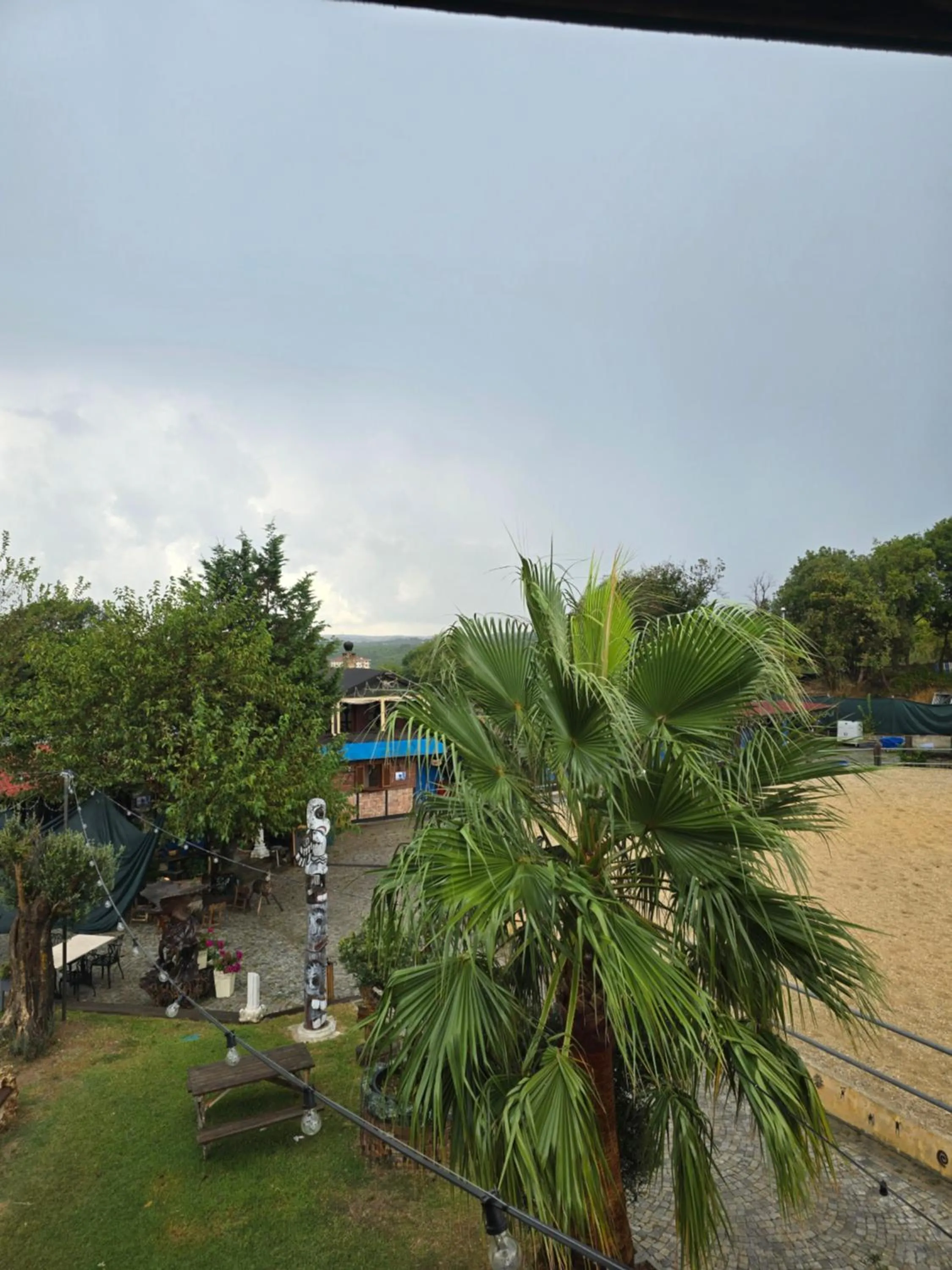 Garden in MAVİ AT HOTEL Blue Horse