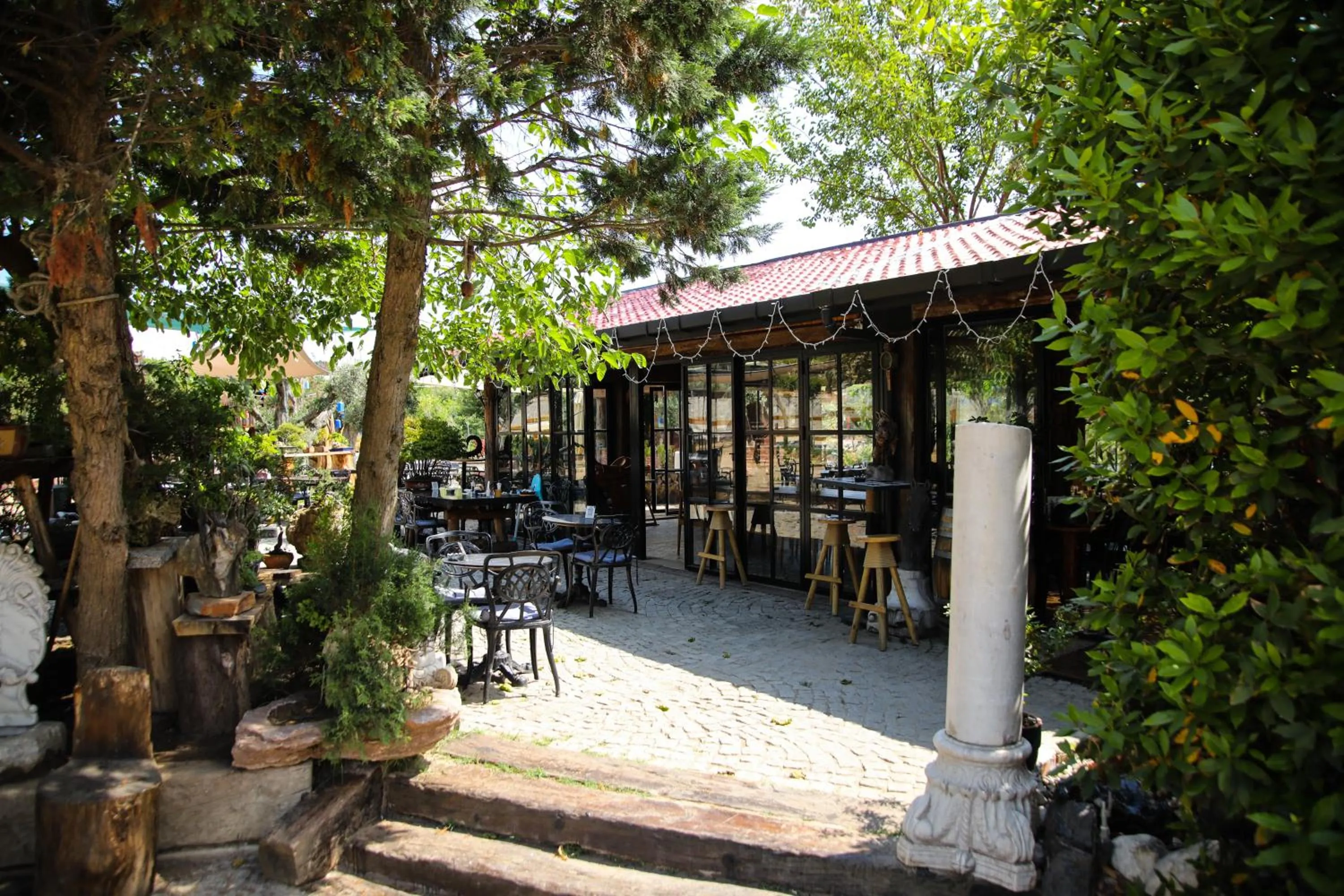 Restaurant/places to eat in MAVİ AT HOTEL Blue Horse