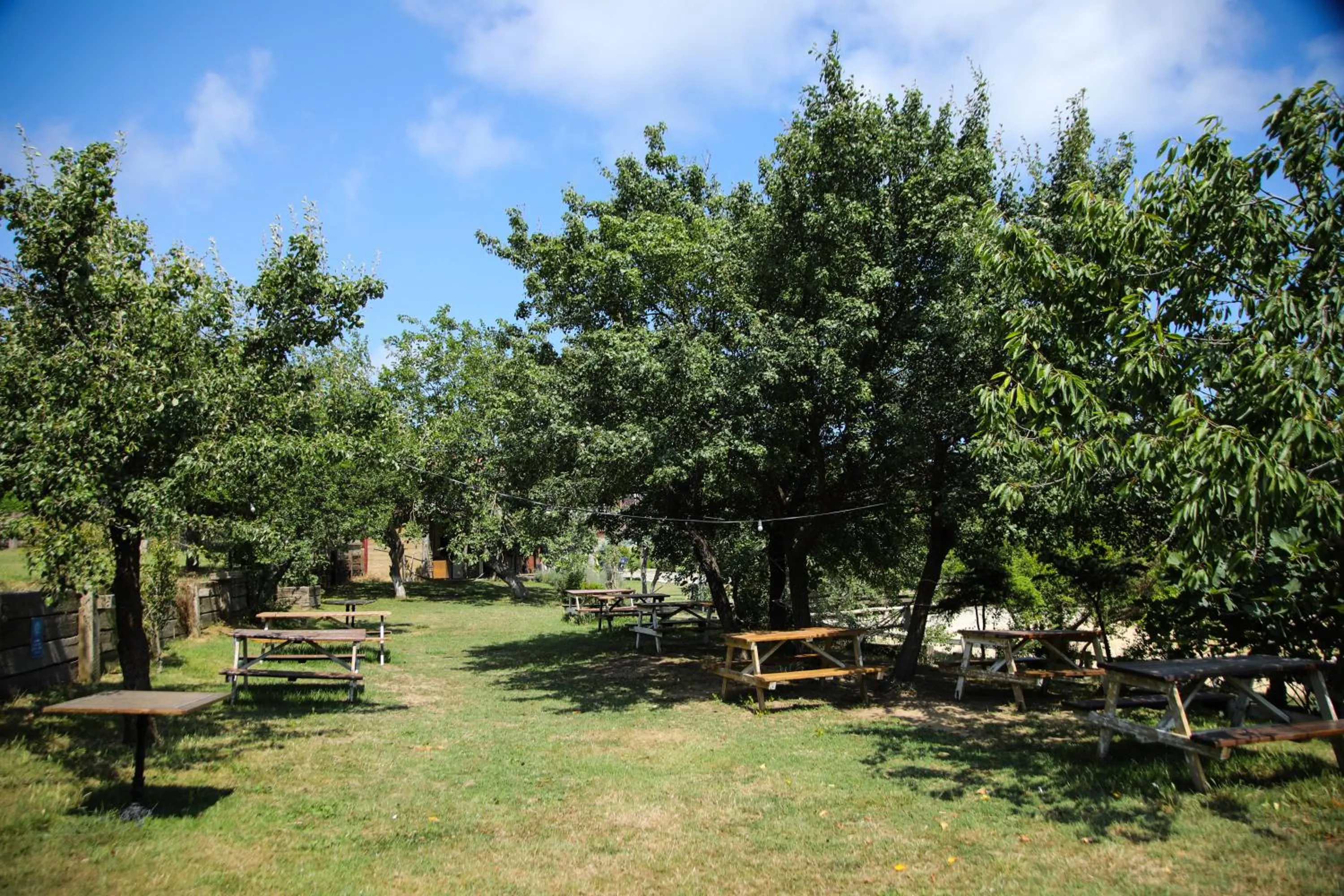 Garden in MAVİ AT HOTEL Blue Horse