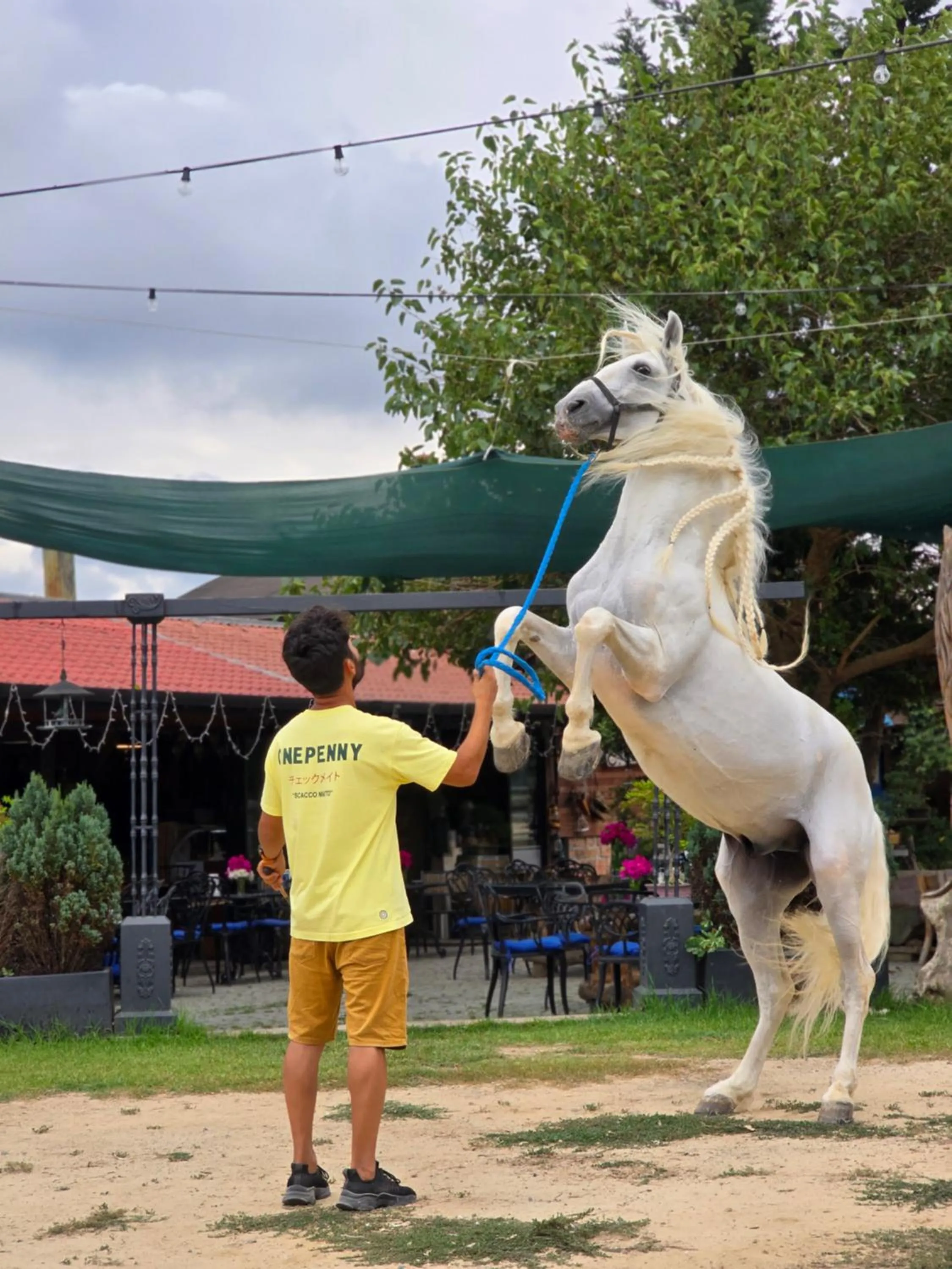 Nearby landmark in MAVİ AT HOTEL Blue Horse