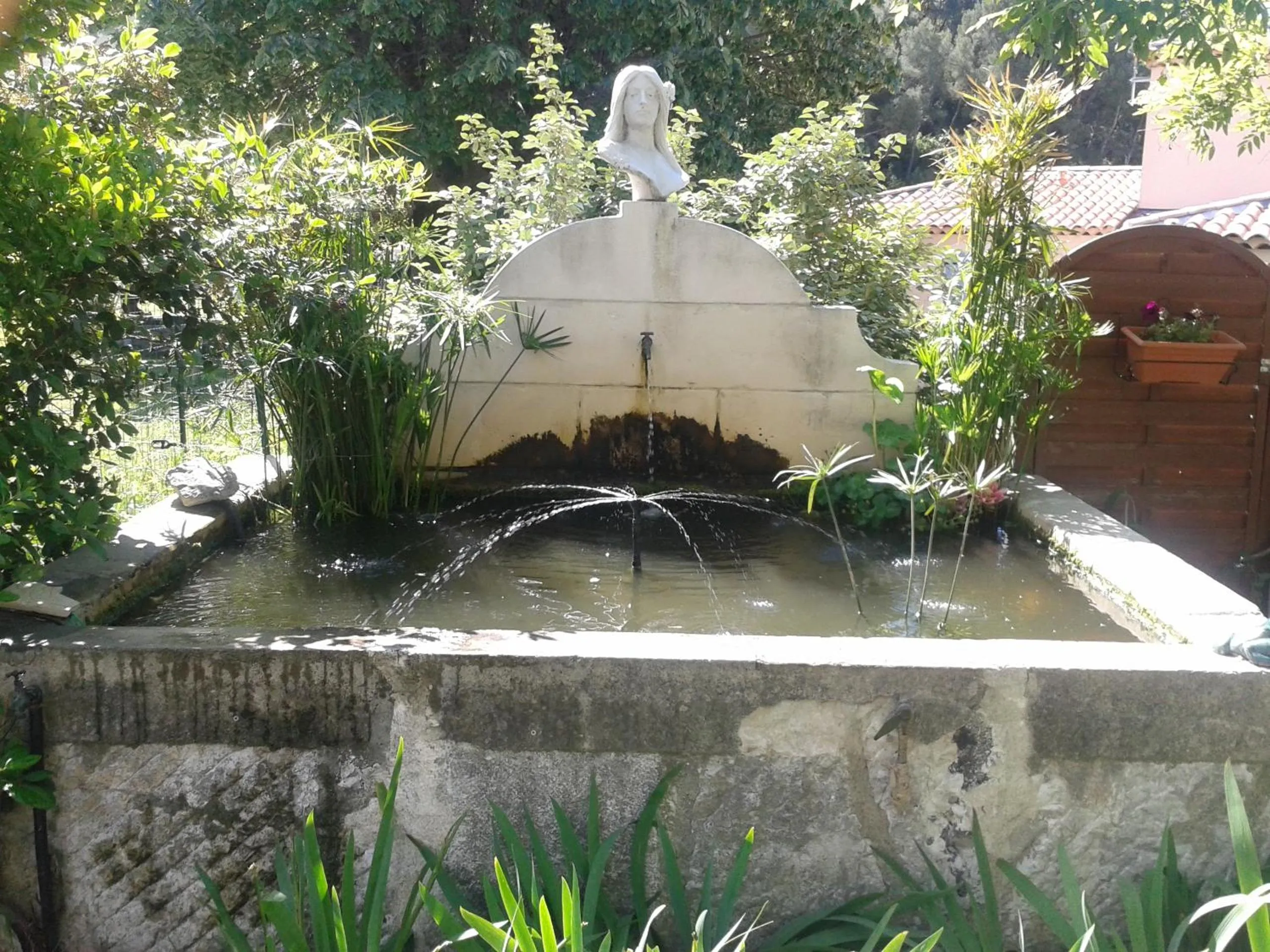 Summer in B&B Le Clos des Cigales