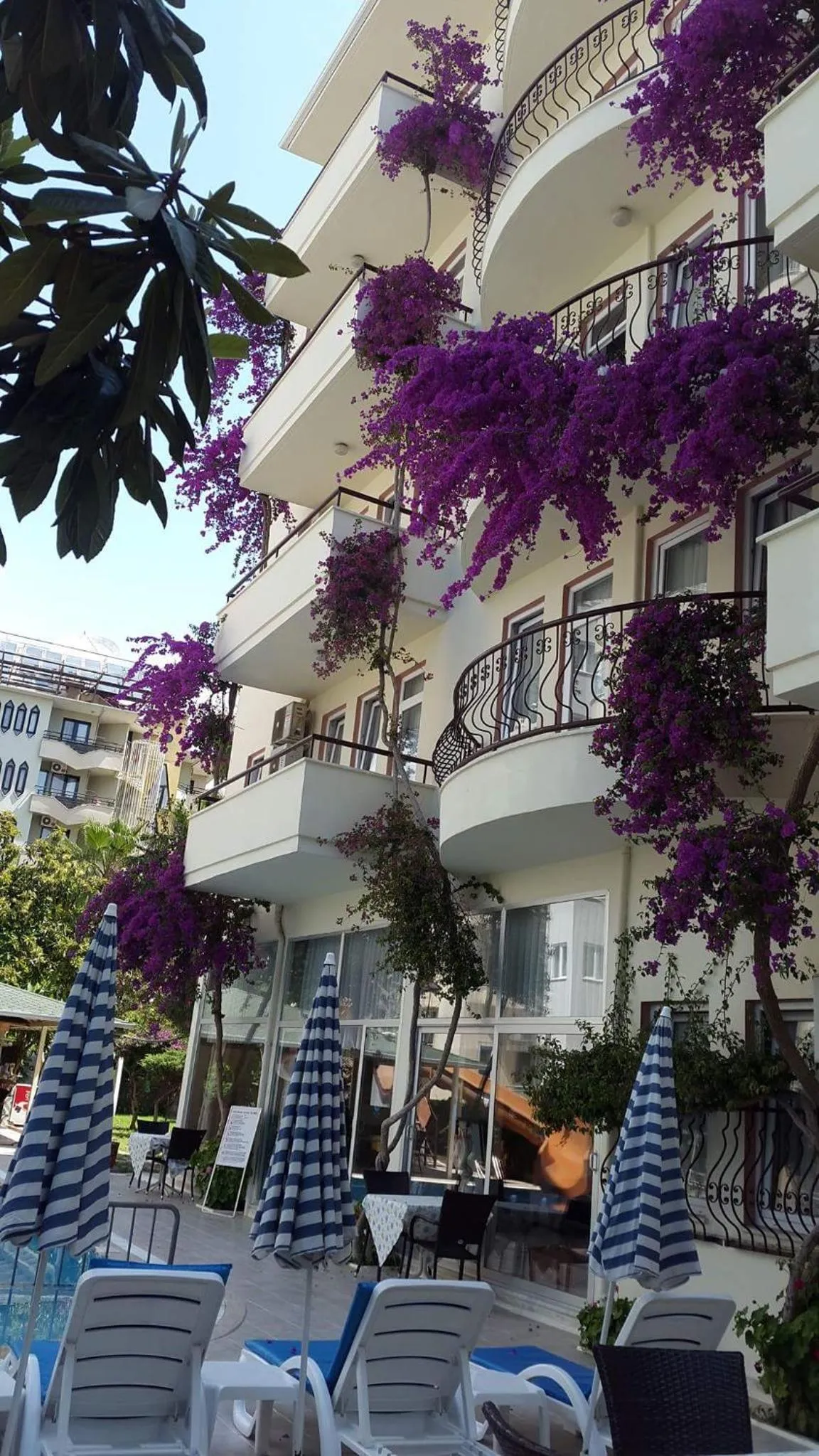 THE S APART & SUITES hOTEL