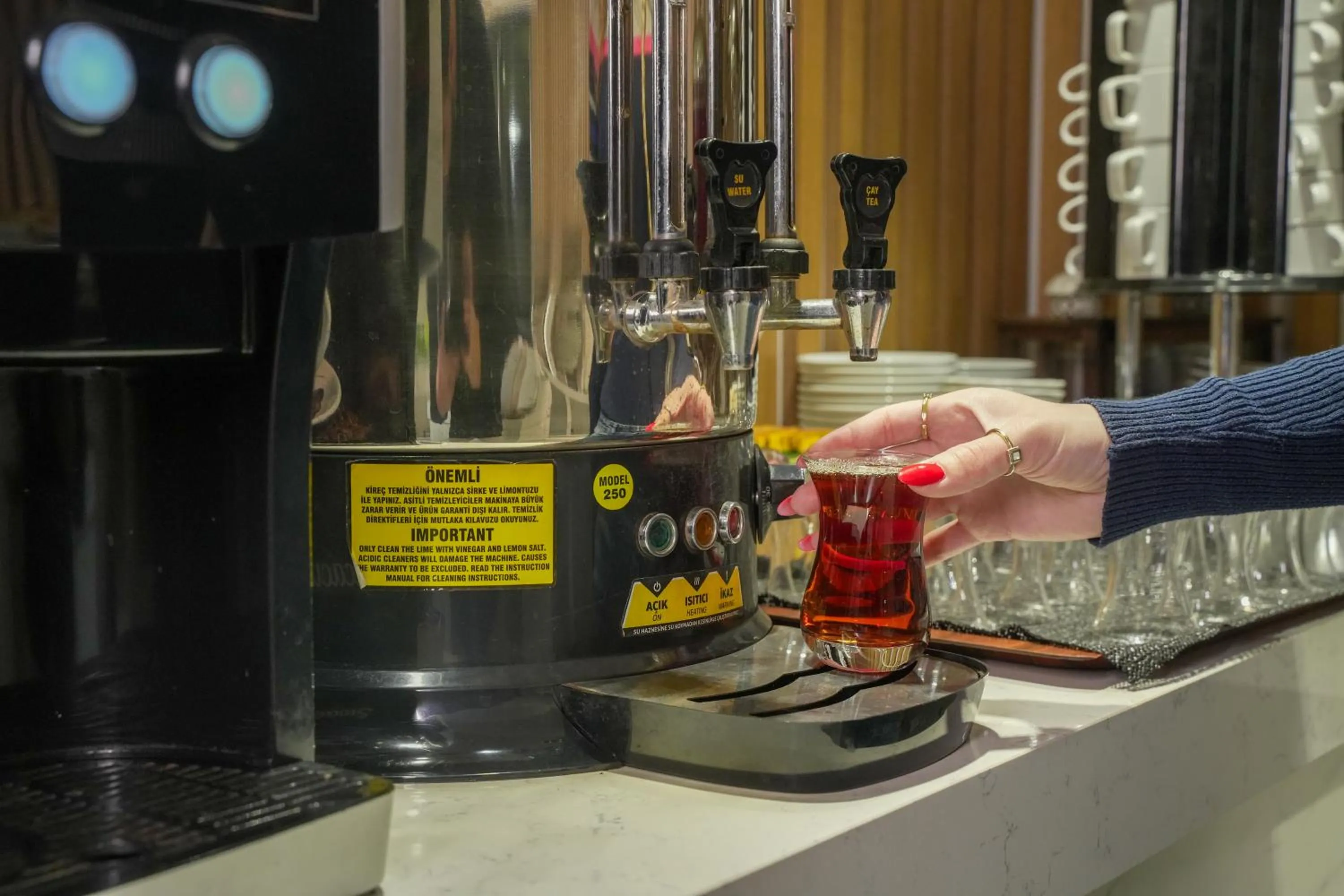 Buffet breakfast in NK Hotel