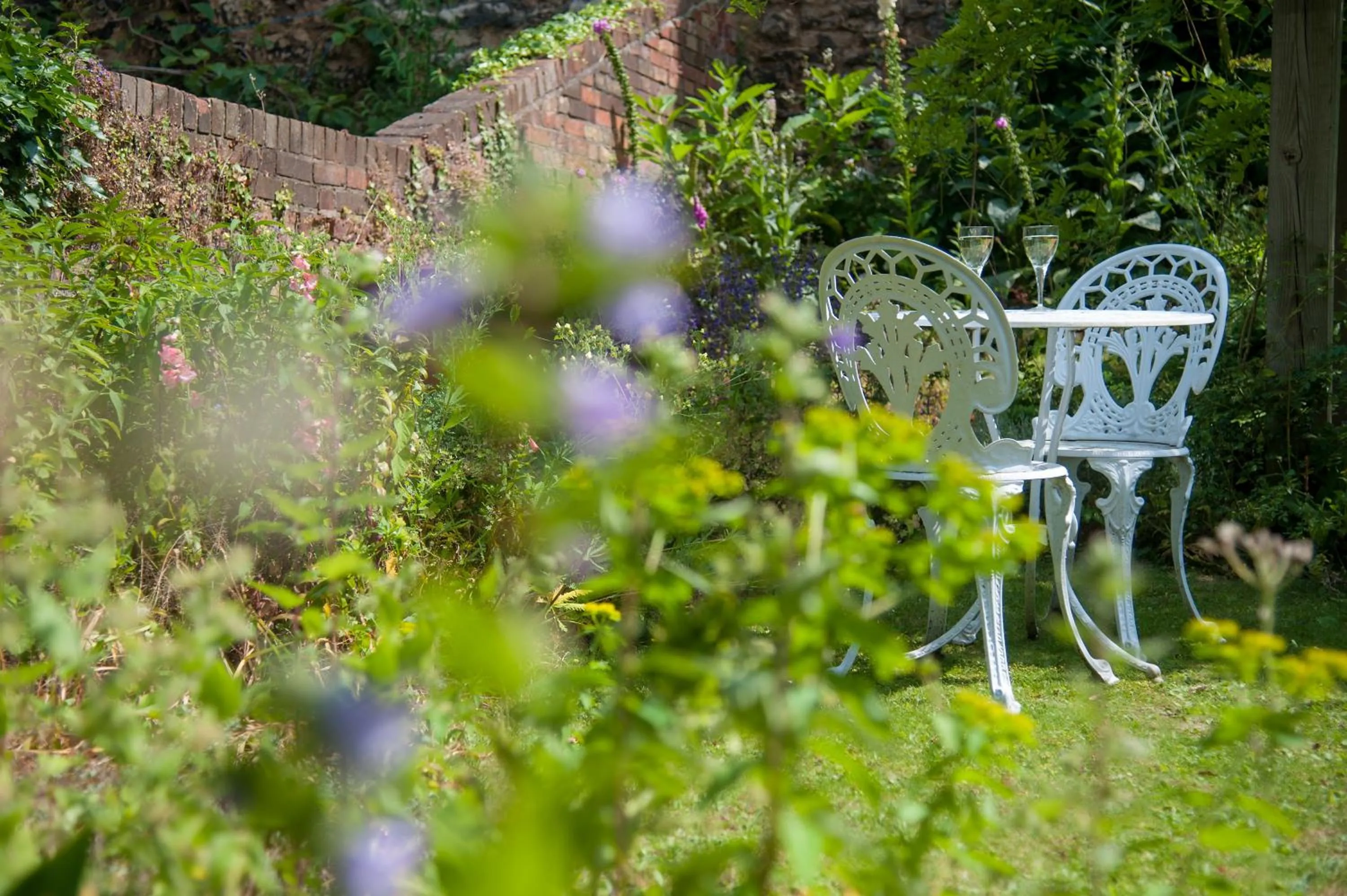Garden in Rewley House University of Oxford