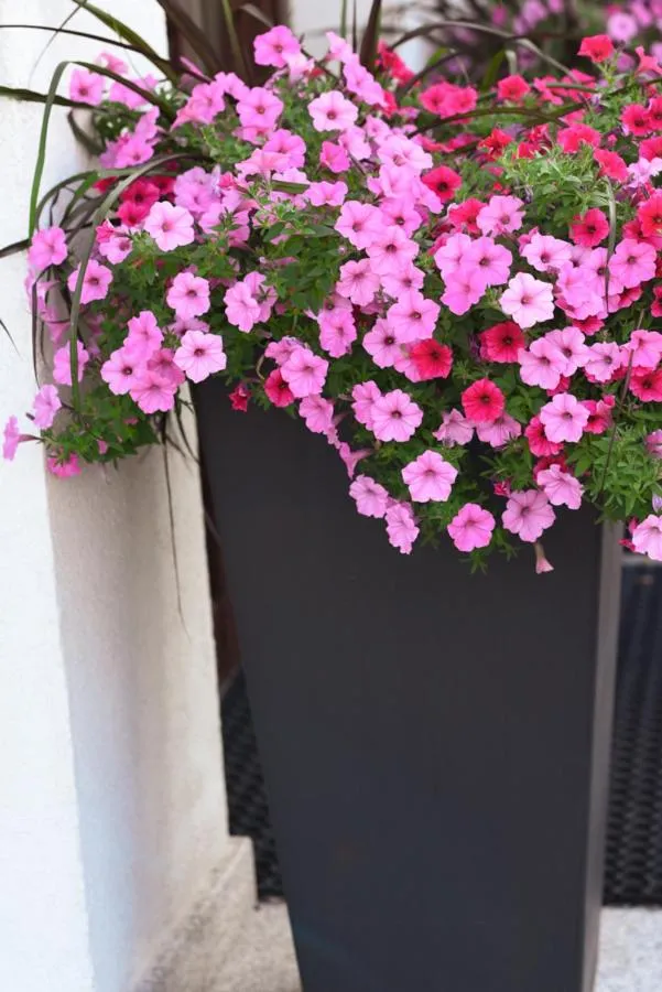 Hotel Promyk Wellness & Spa