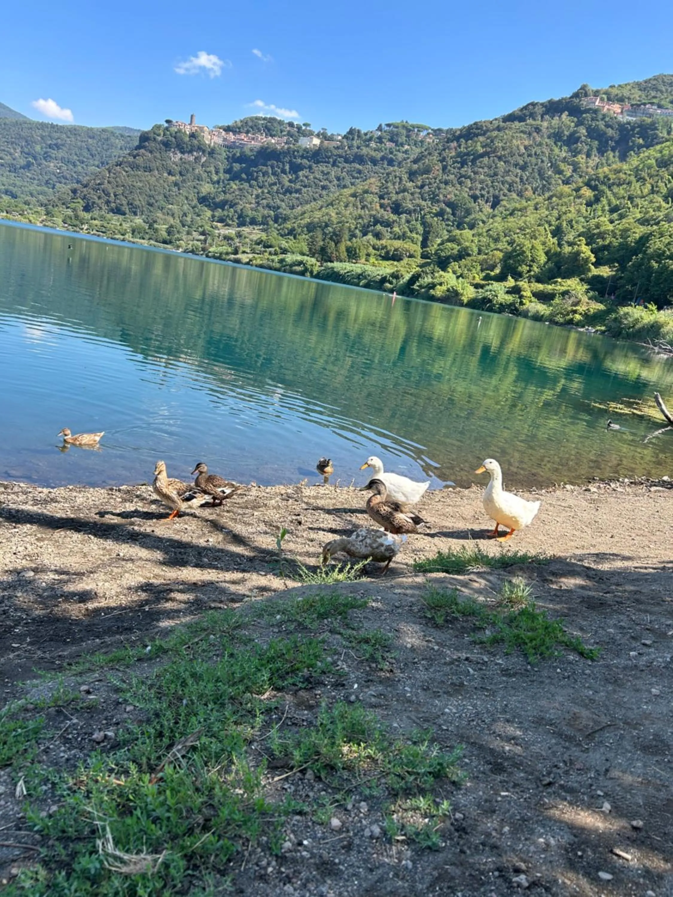 Casetta incantevole Genzano di Roma