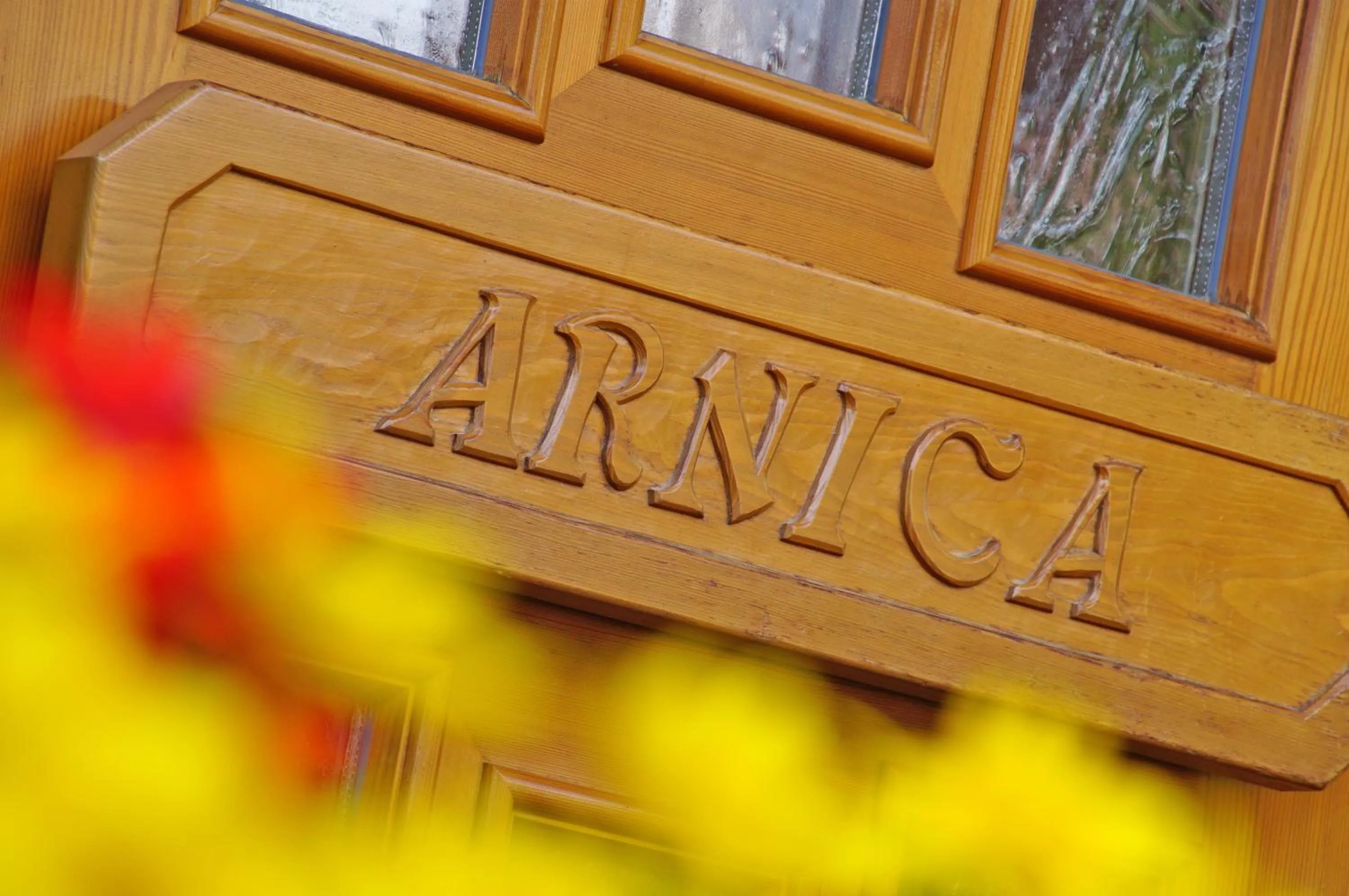 Facade/entrance in Pension Arnica B&B