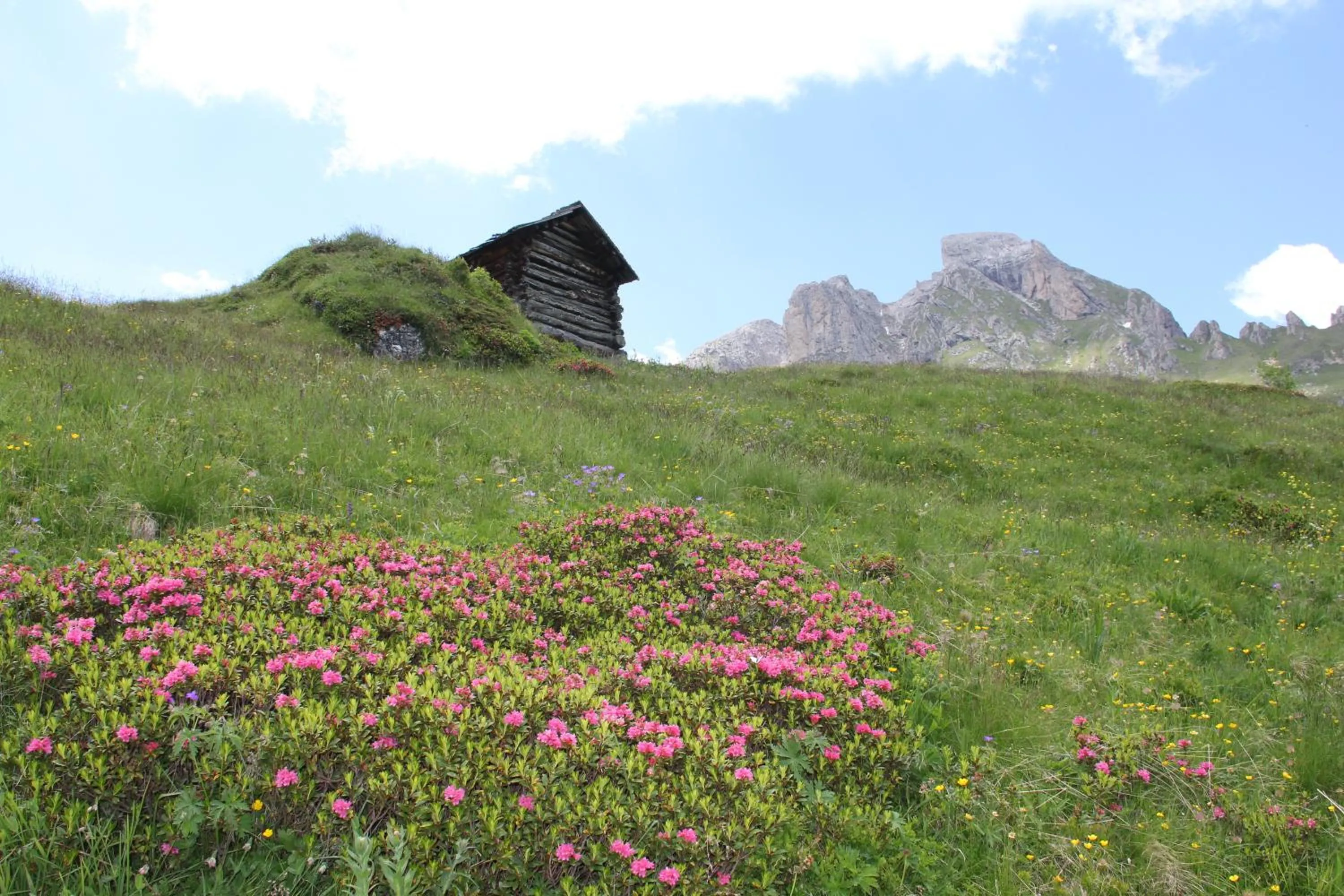 Hiking in Pension Arnica B&B