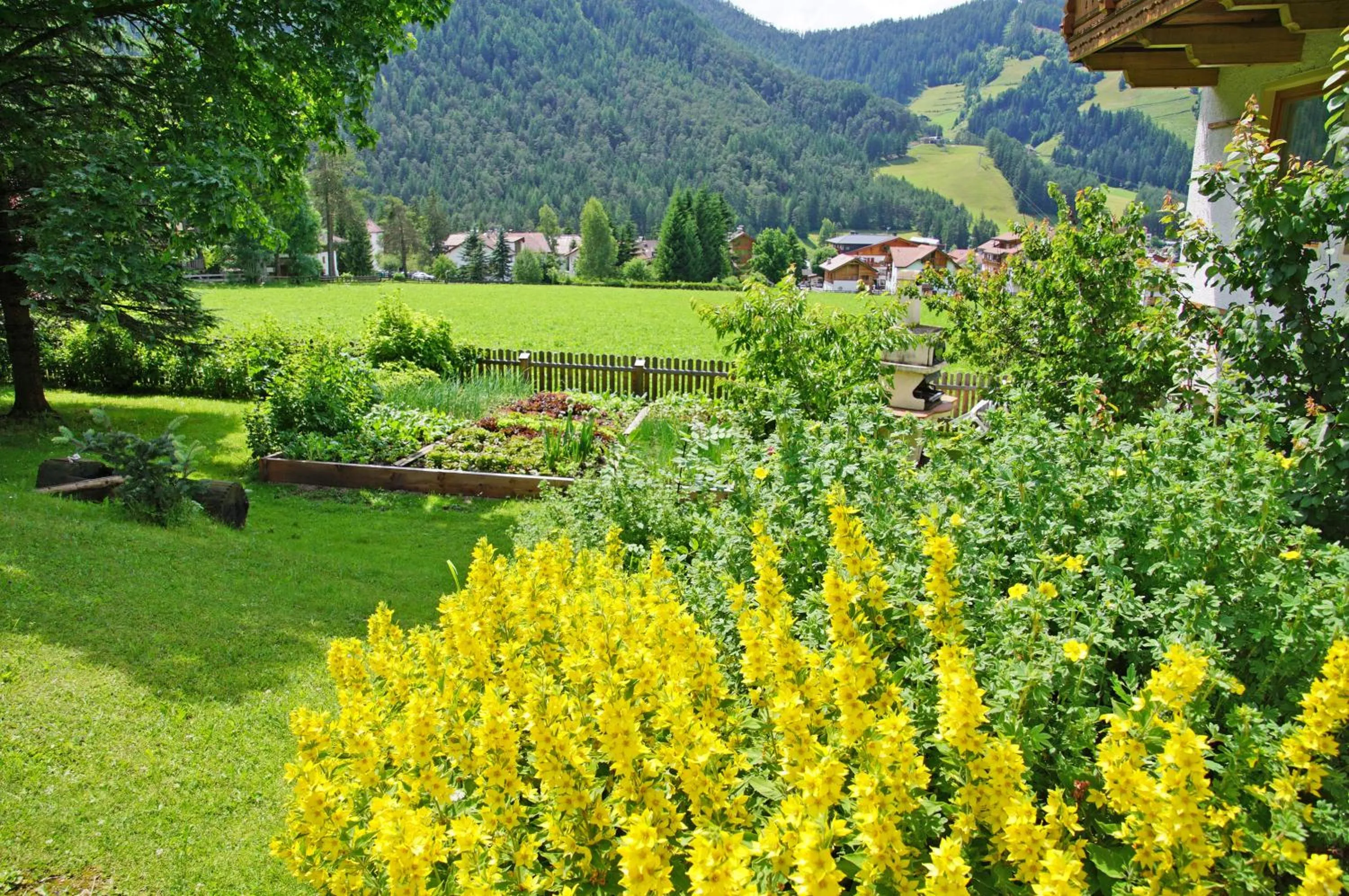 Garden in Pension Arnica B&B