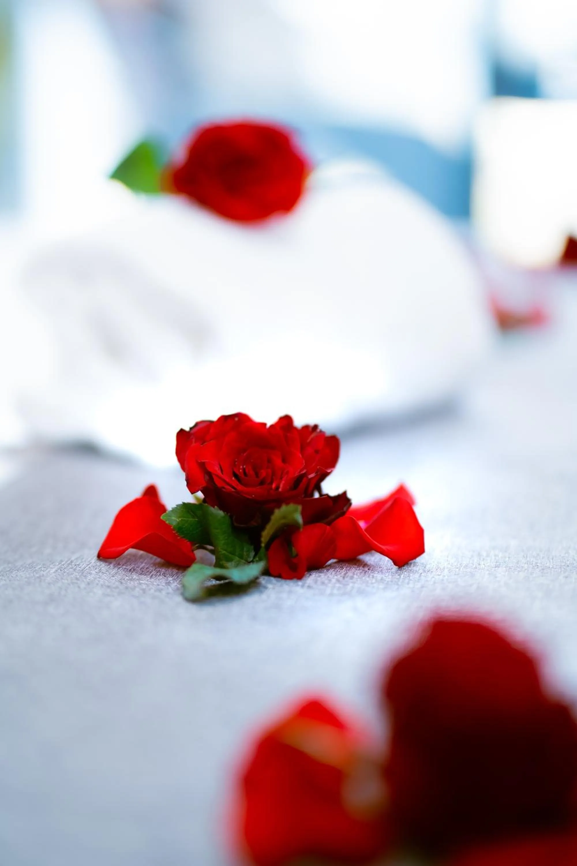 Bedroom, Bed in M9 Kirirom Hotel