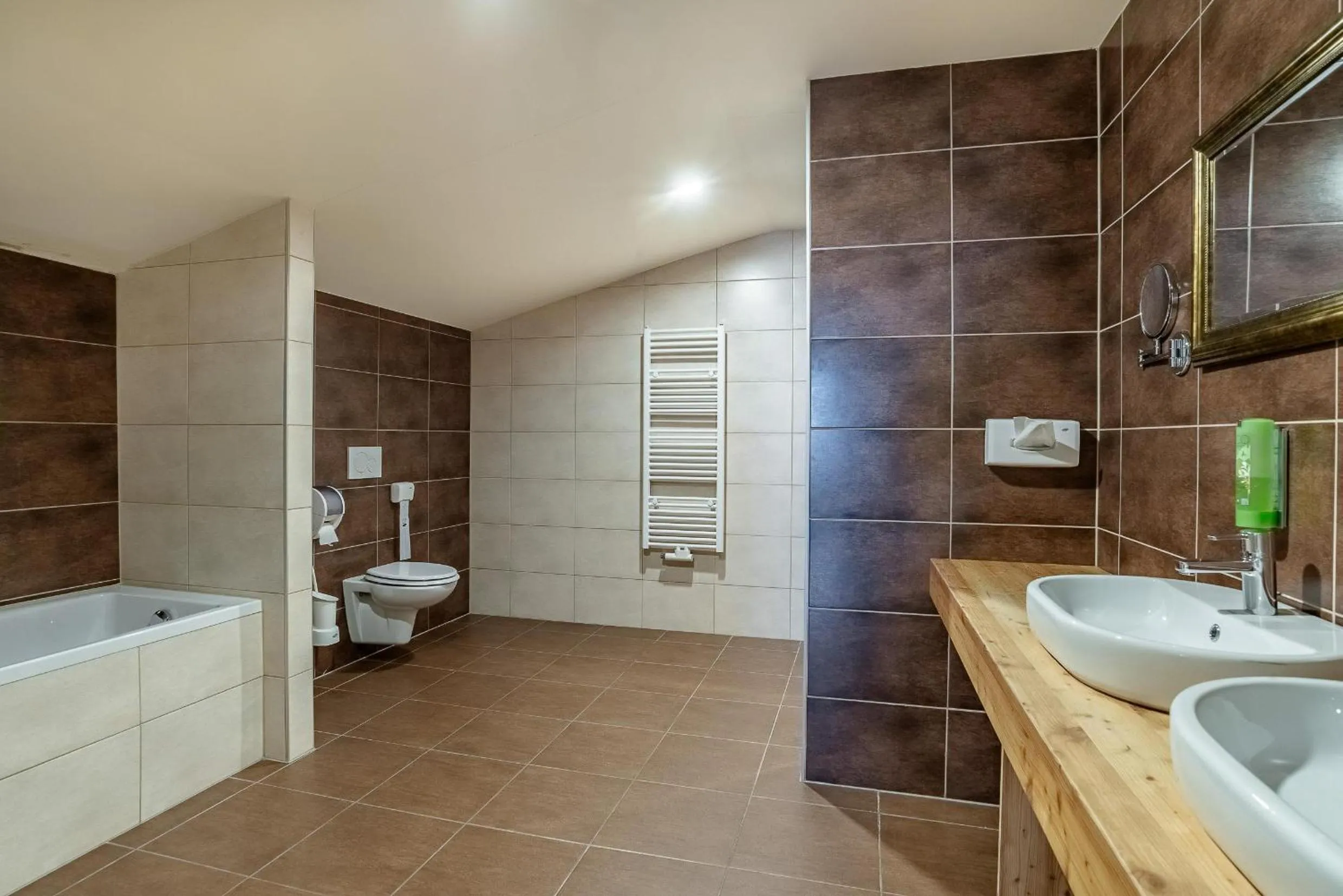 Bathroom in Hotel Victoriya