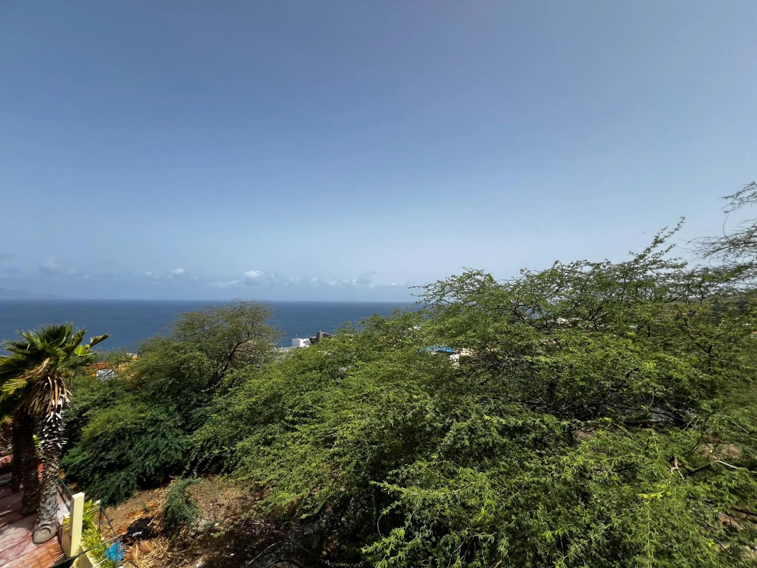 View (from property/room) in Bamboo Xaguate Hotel