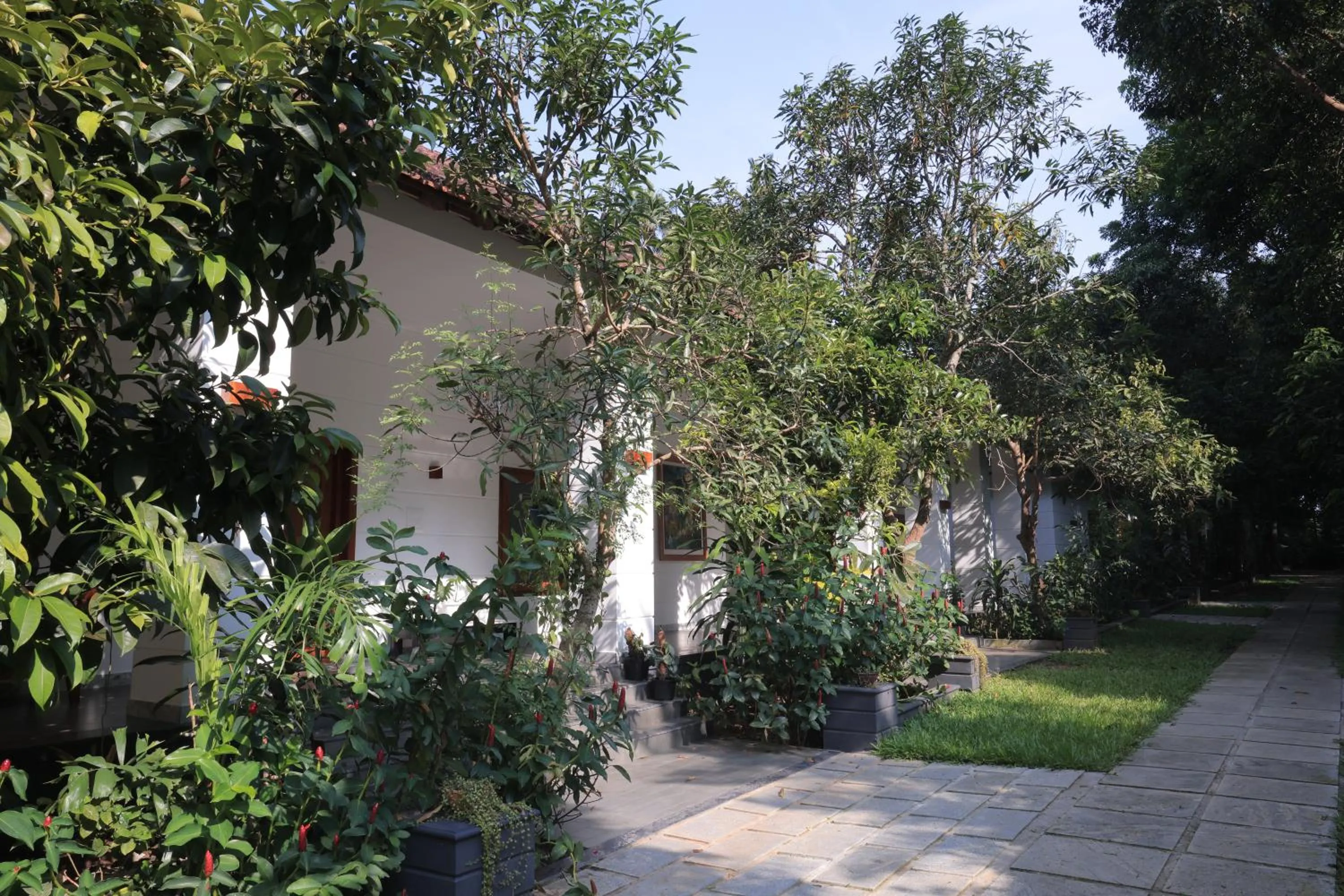 Spa and wellness centre/facilities in Softouch Ayurveda Village Kerala