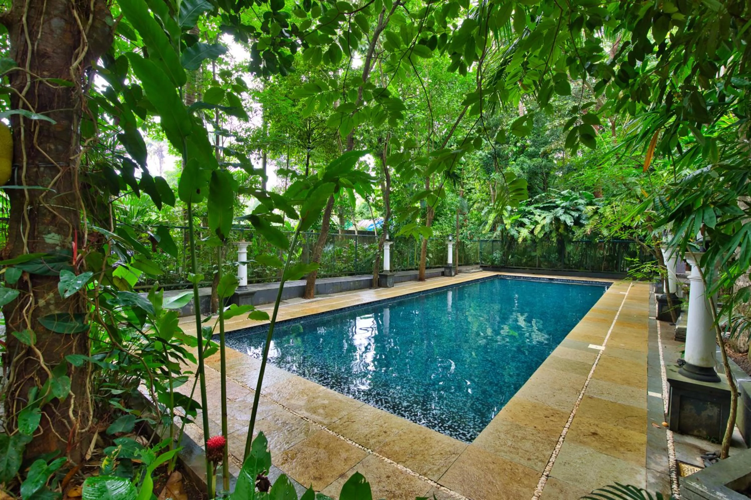 Swimming pool in Softouch Ayurveda Village Kerala