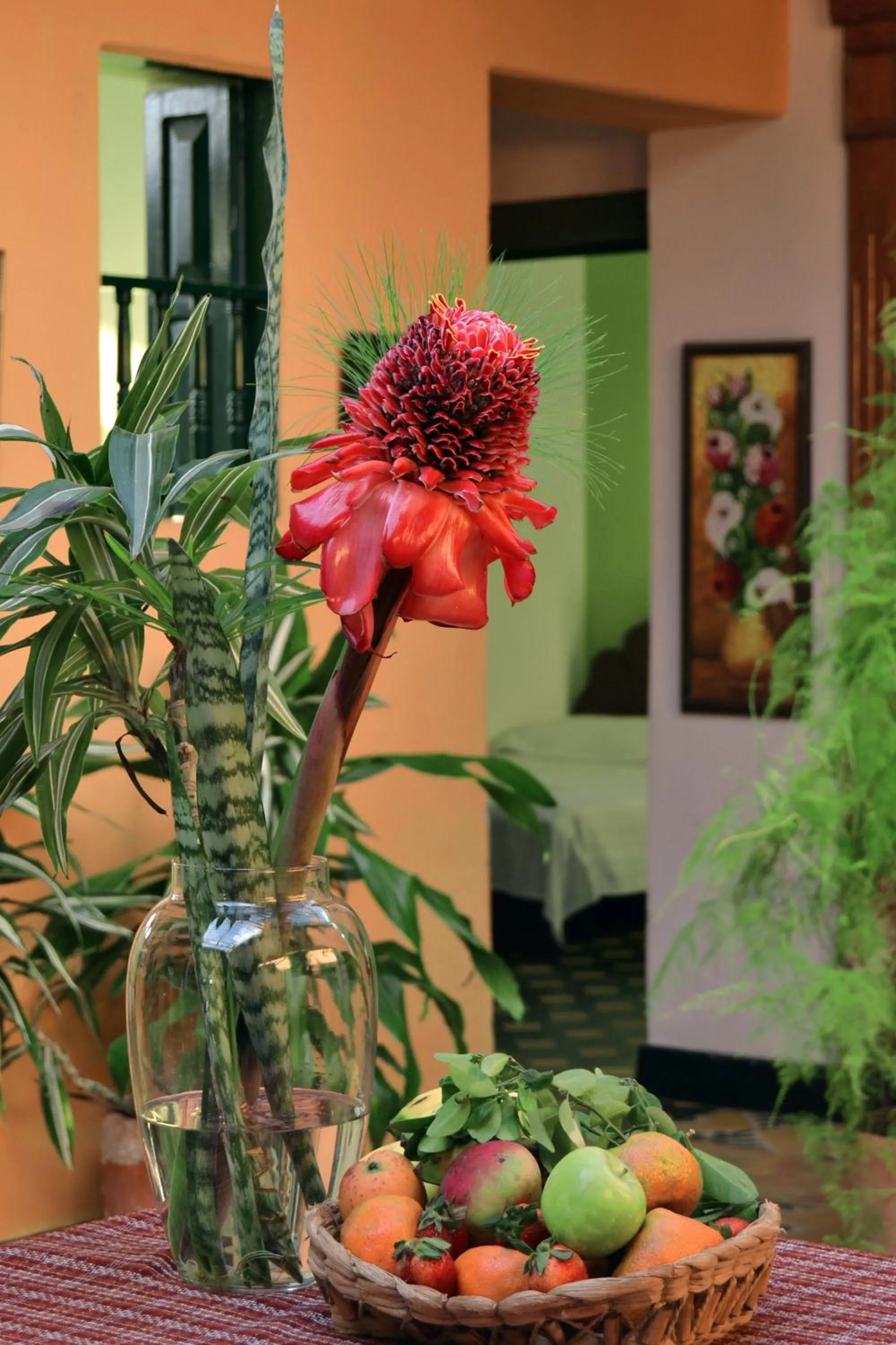 Patio in Posada Las Bromelias