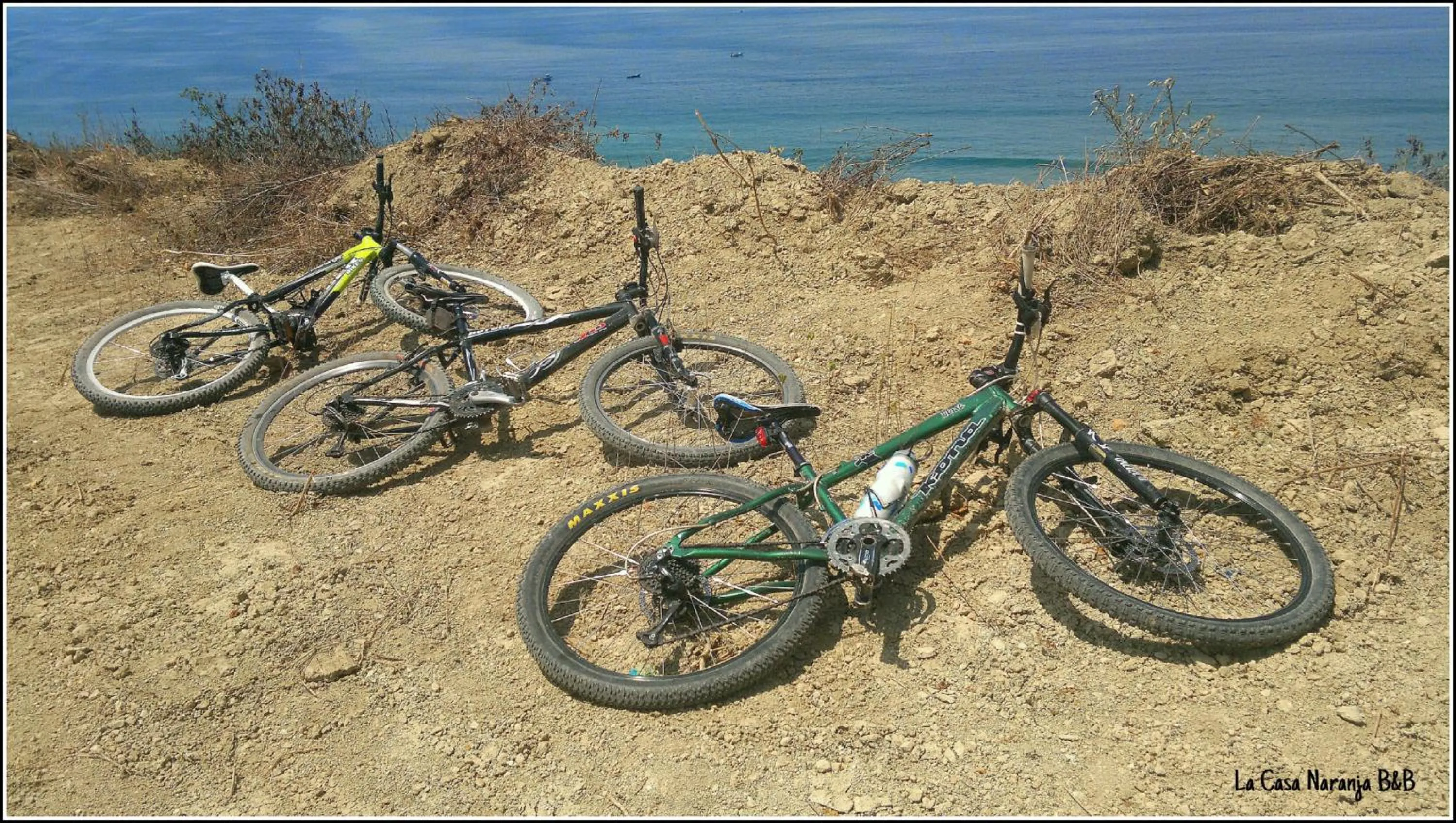 La Casa Naranja Bed and Breakfast