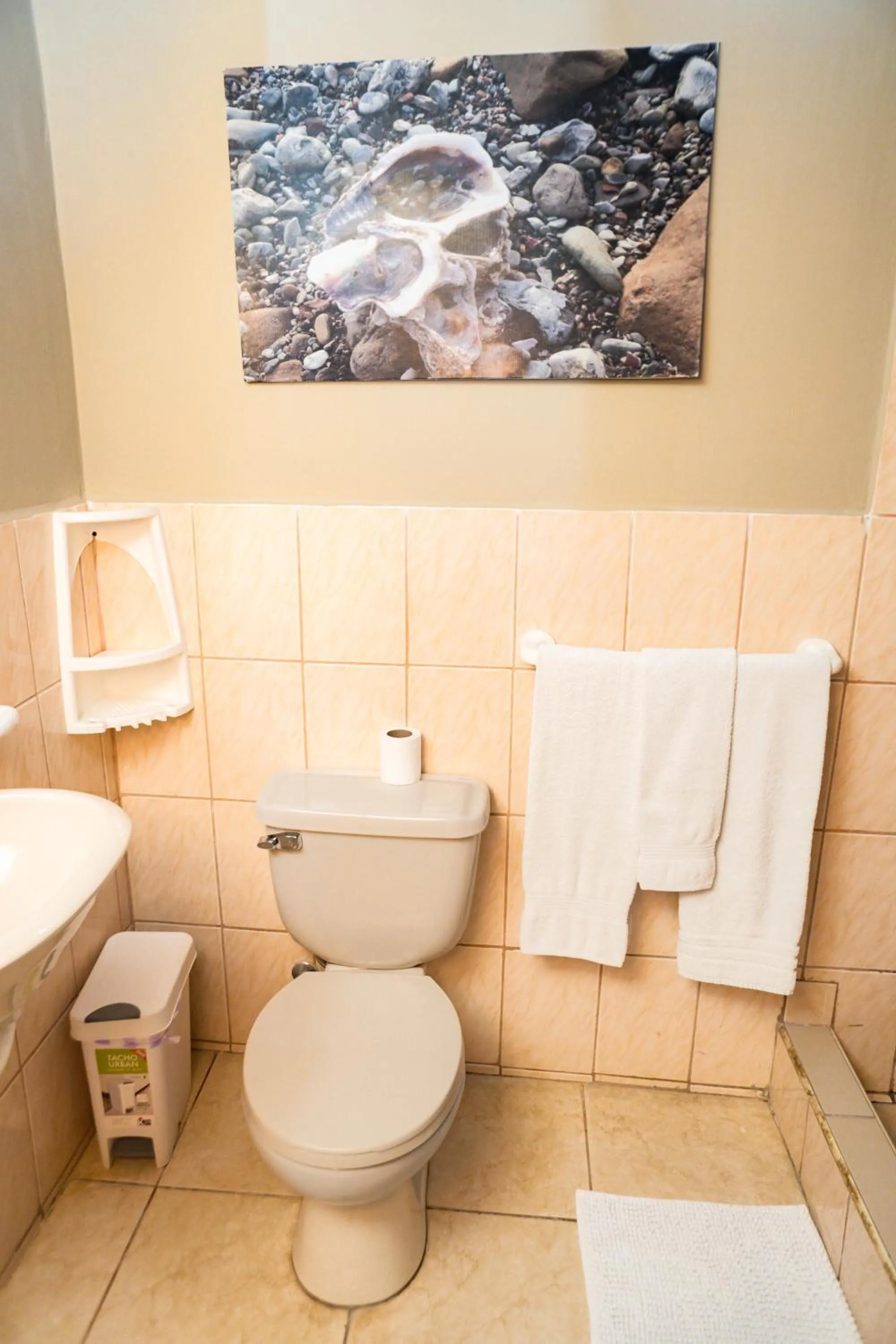 La Casa Naranja Bed and Breakfast