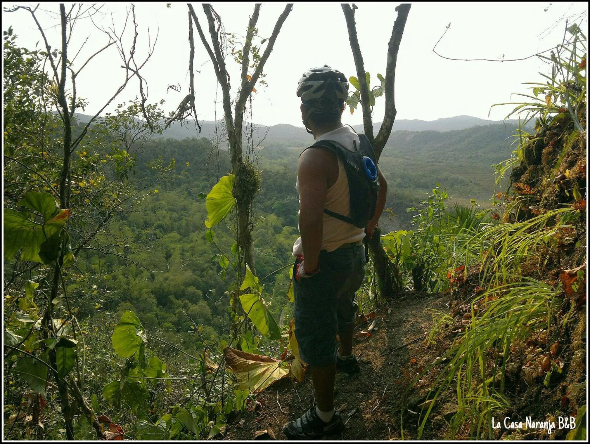 La Casa Naranja Bed and Breakfast