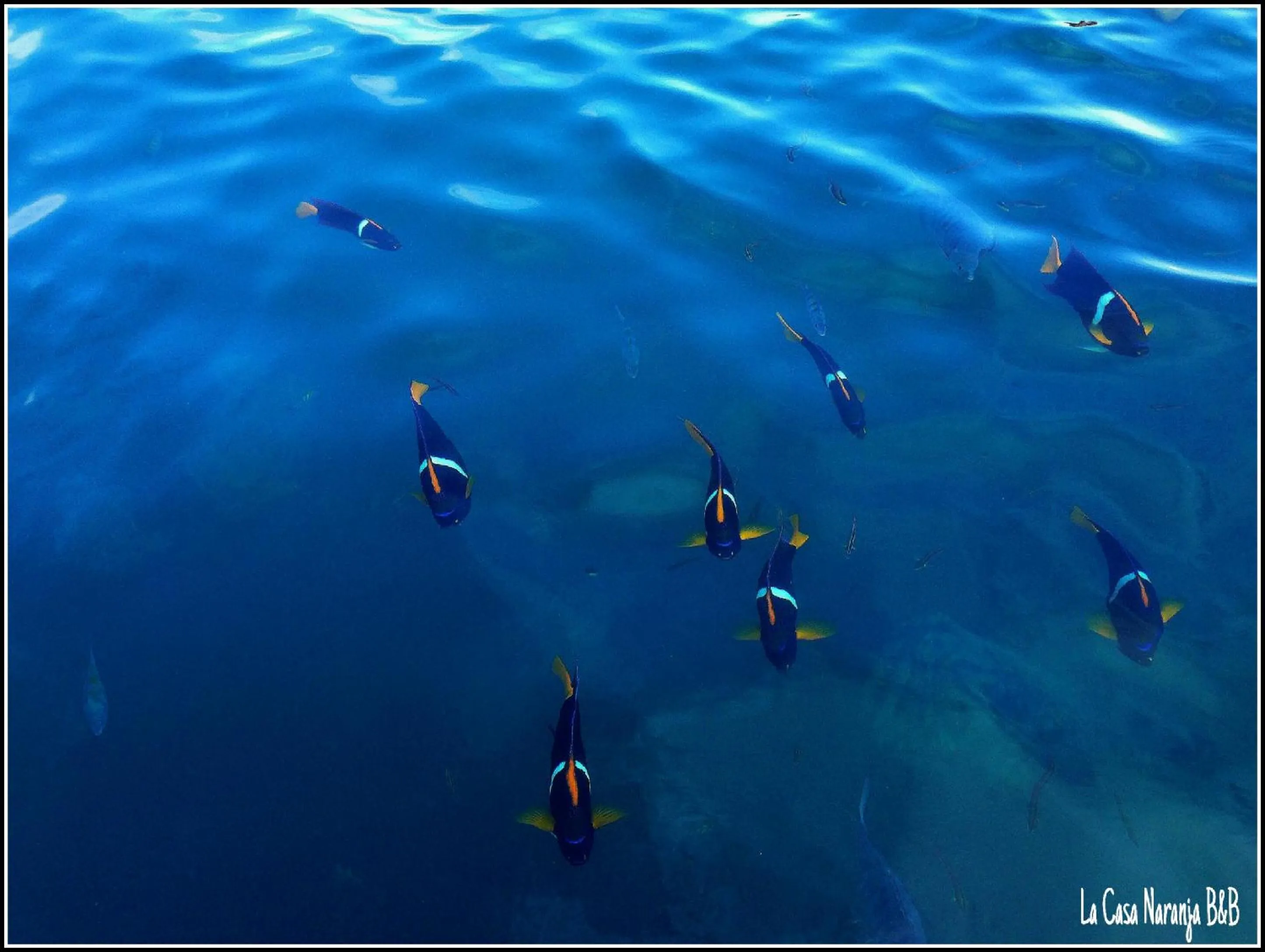 La Casa Naranja Bed and Breakfast