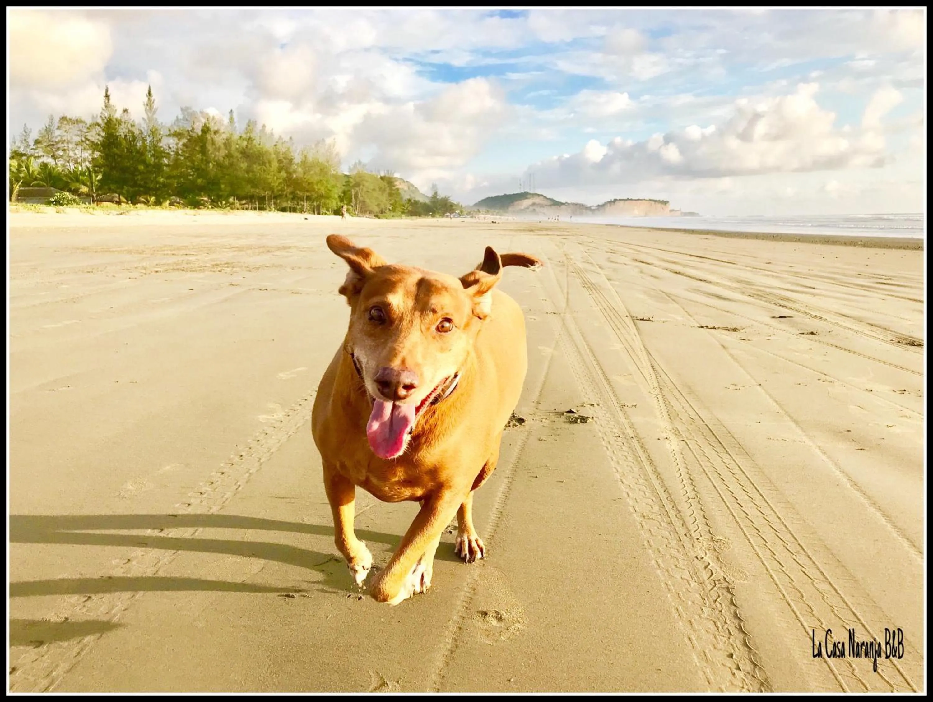 La Casa Naranja Bed and Breakfast