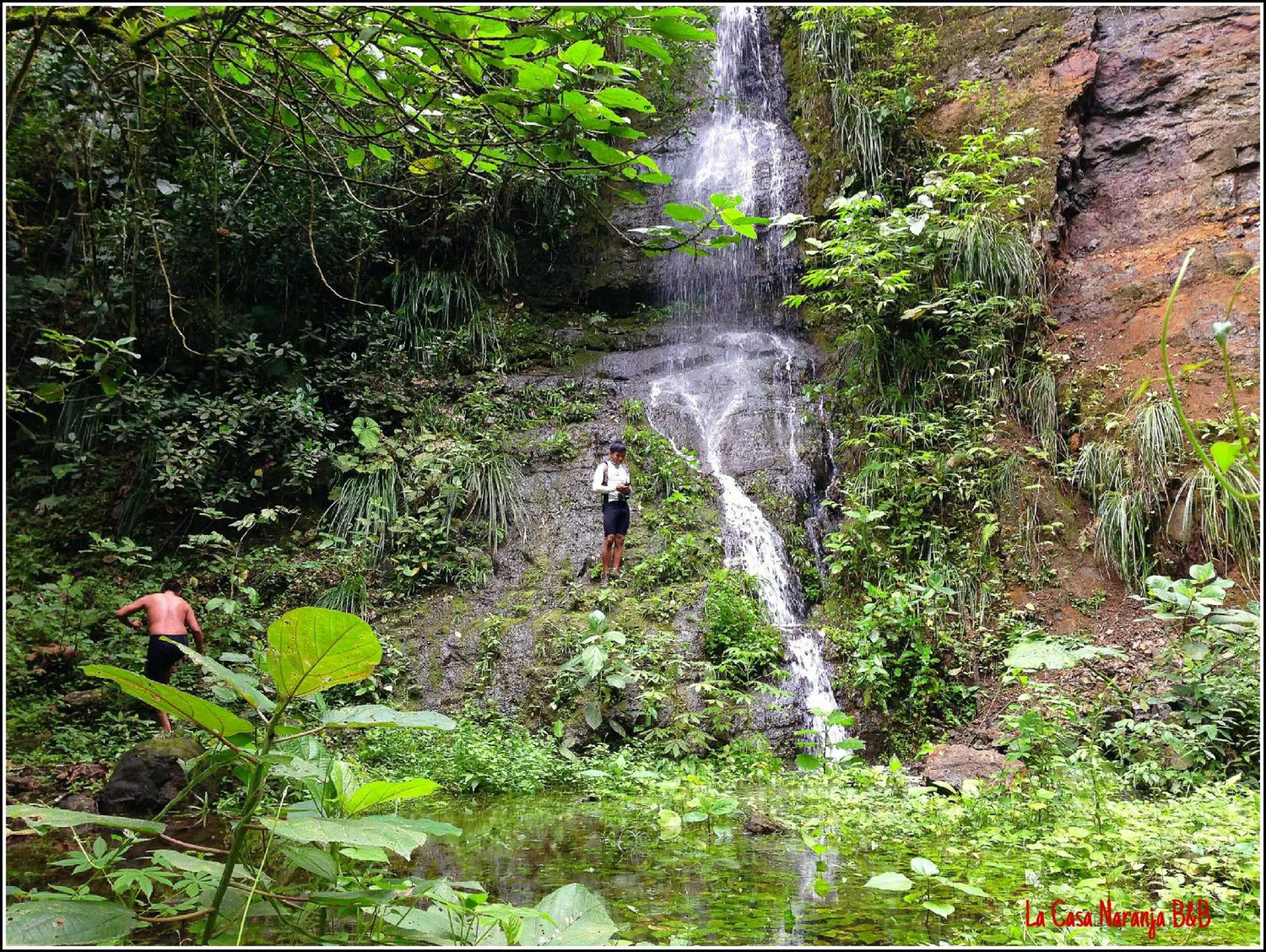 La Casa Naranja Bed and Breakfast