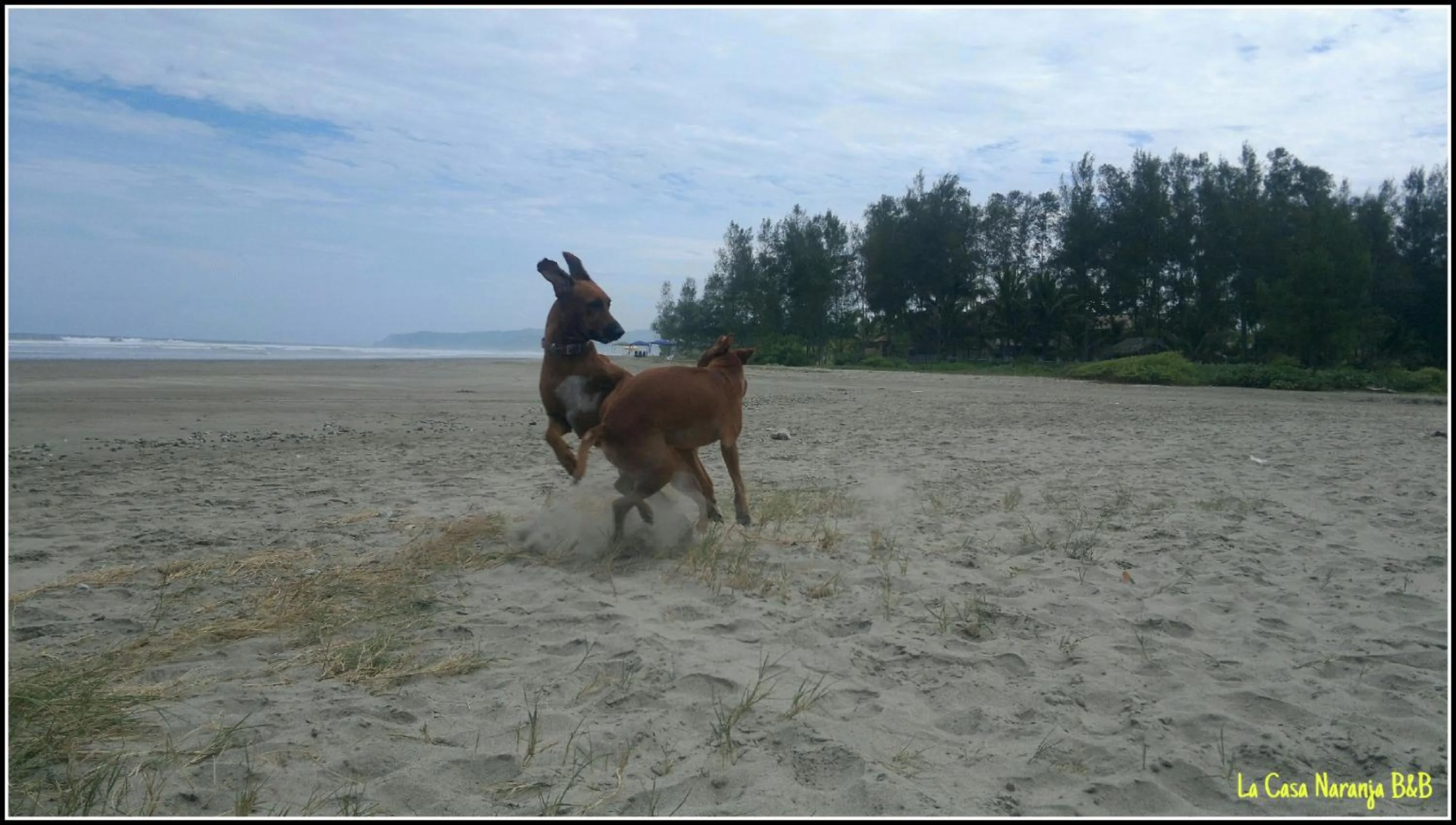 La Casa Naranja Bed and Breakfast