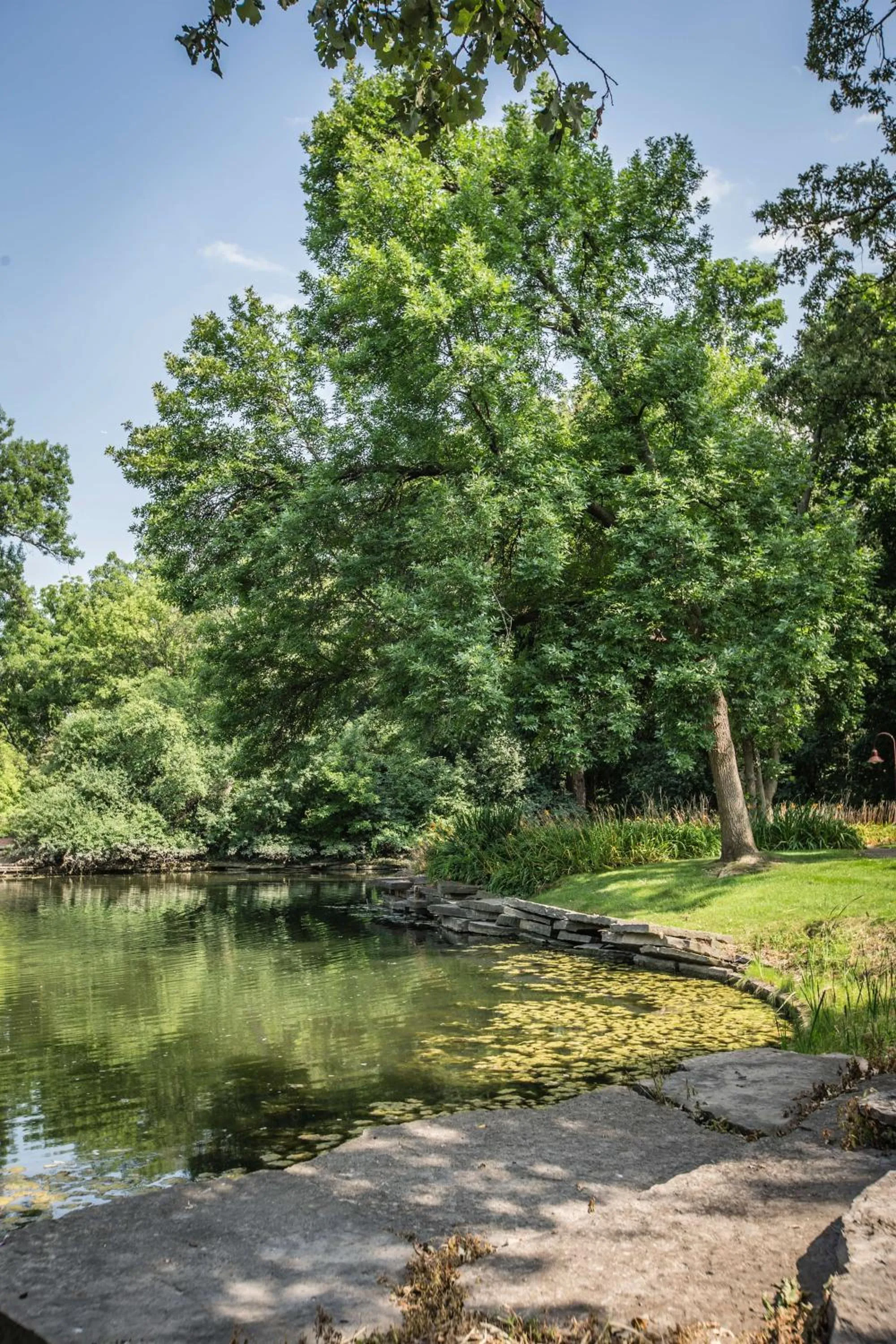 Fitness centre/facilities in Hyatt Lodge Oak Brook Chicago