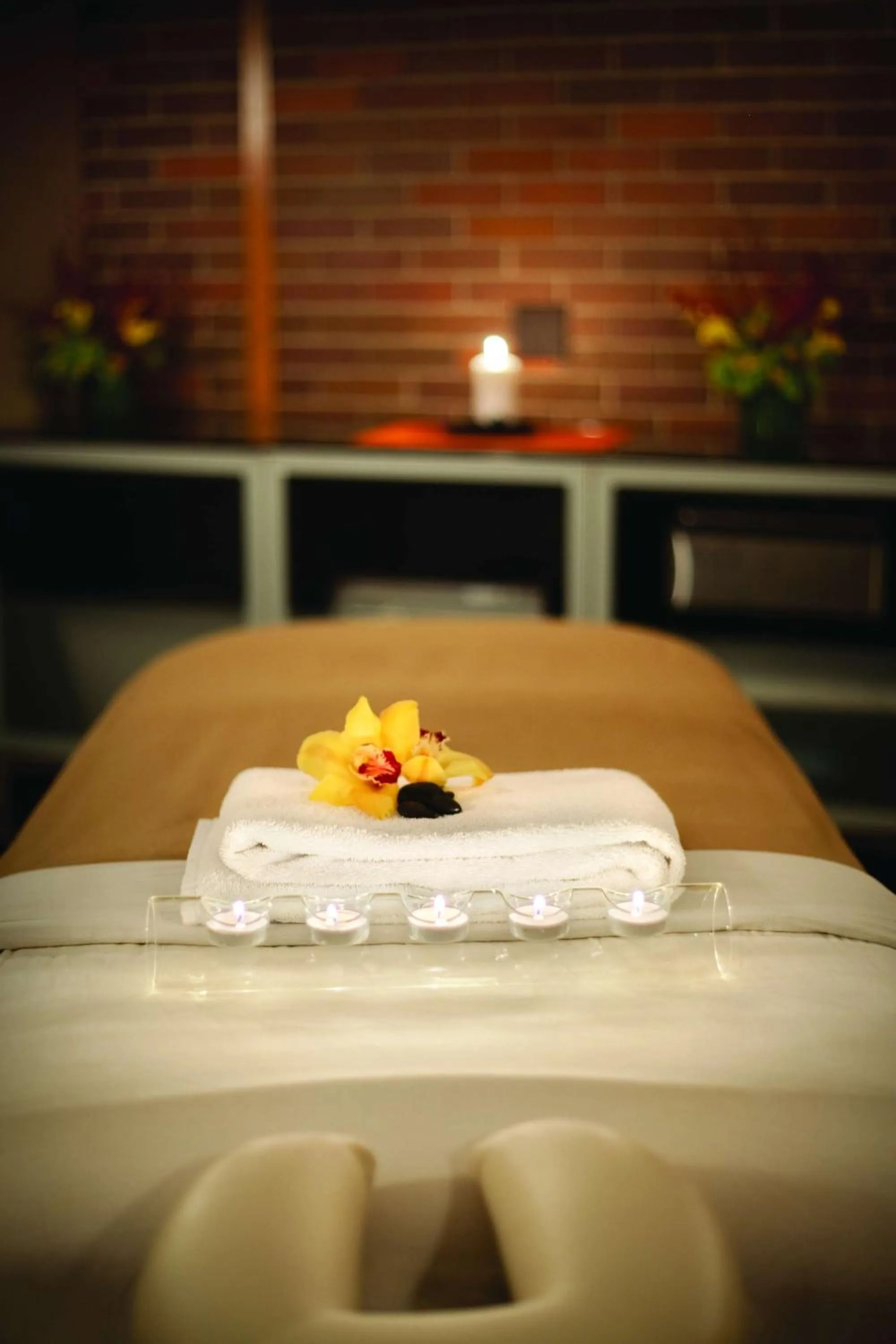 Spa and wellness centre/facilities in Hyatt Lodge Oak Brook Chicago
