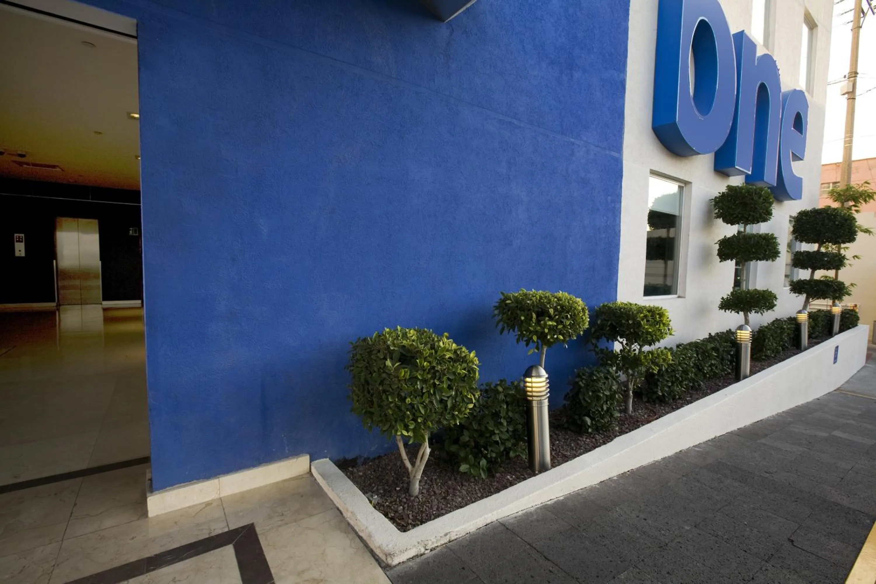 Other in One Aguascalientes San Marcos