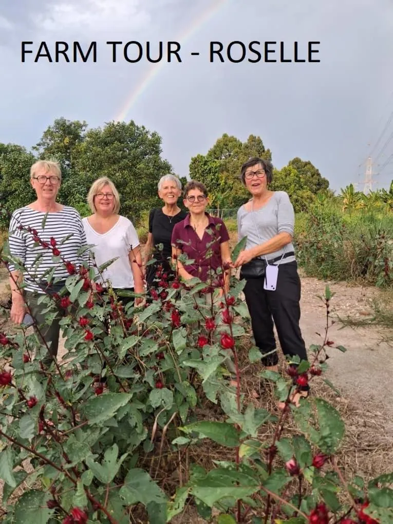 Garden in GLG KLIA Transit House