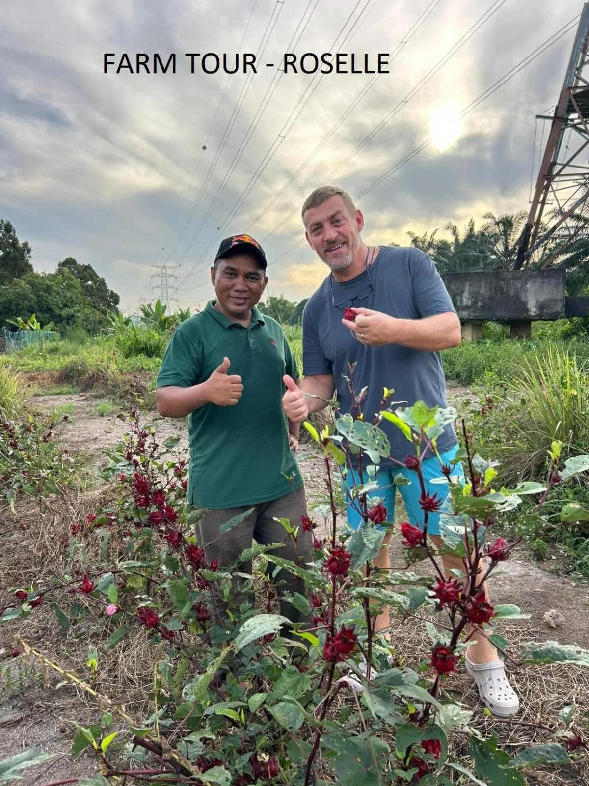 Natural landscape in GLG KLIA Transit House