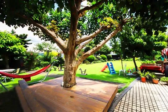 Garden in Taichung Xinshe Garden Life Homestay B&B
