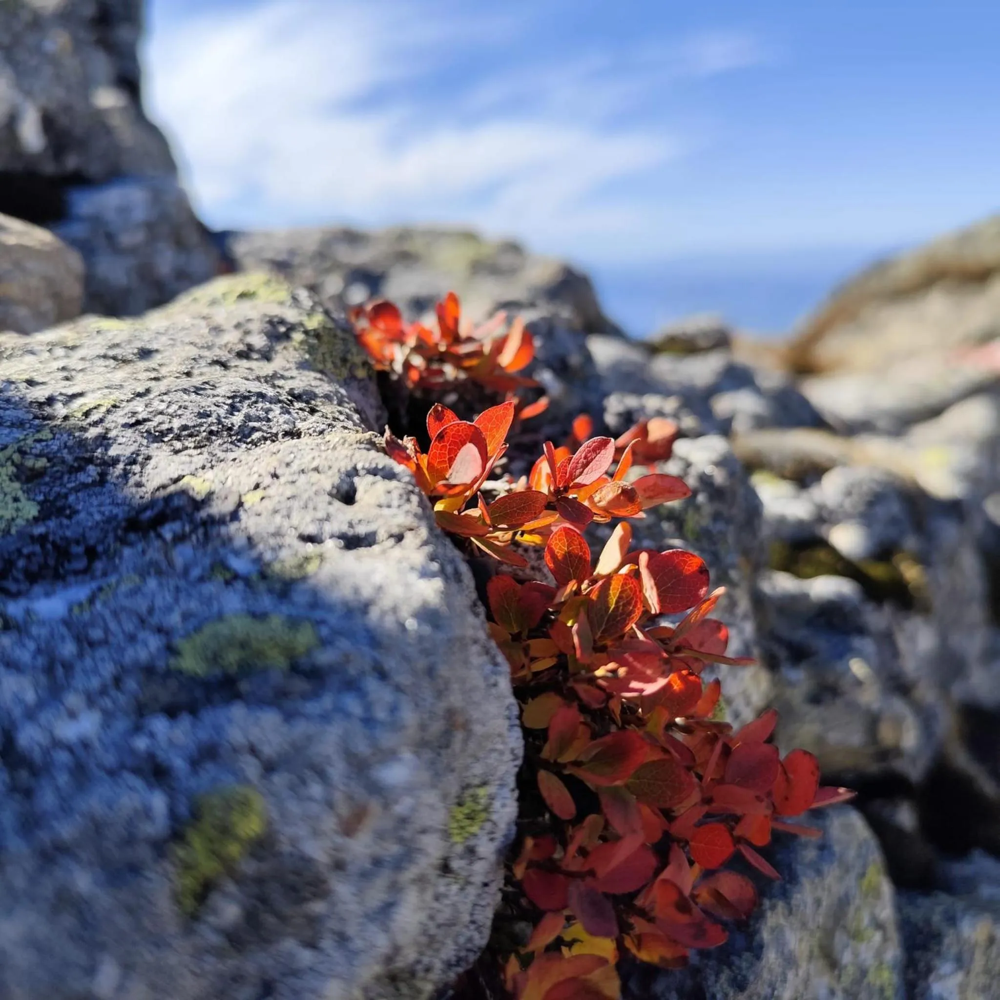Natural landscape in Hotel Prechtlhof