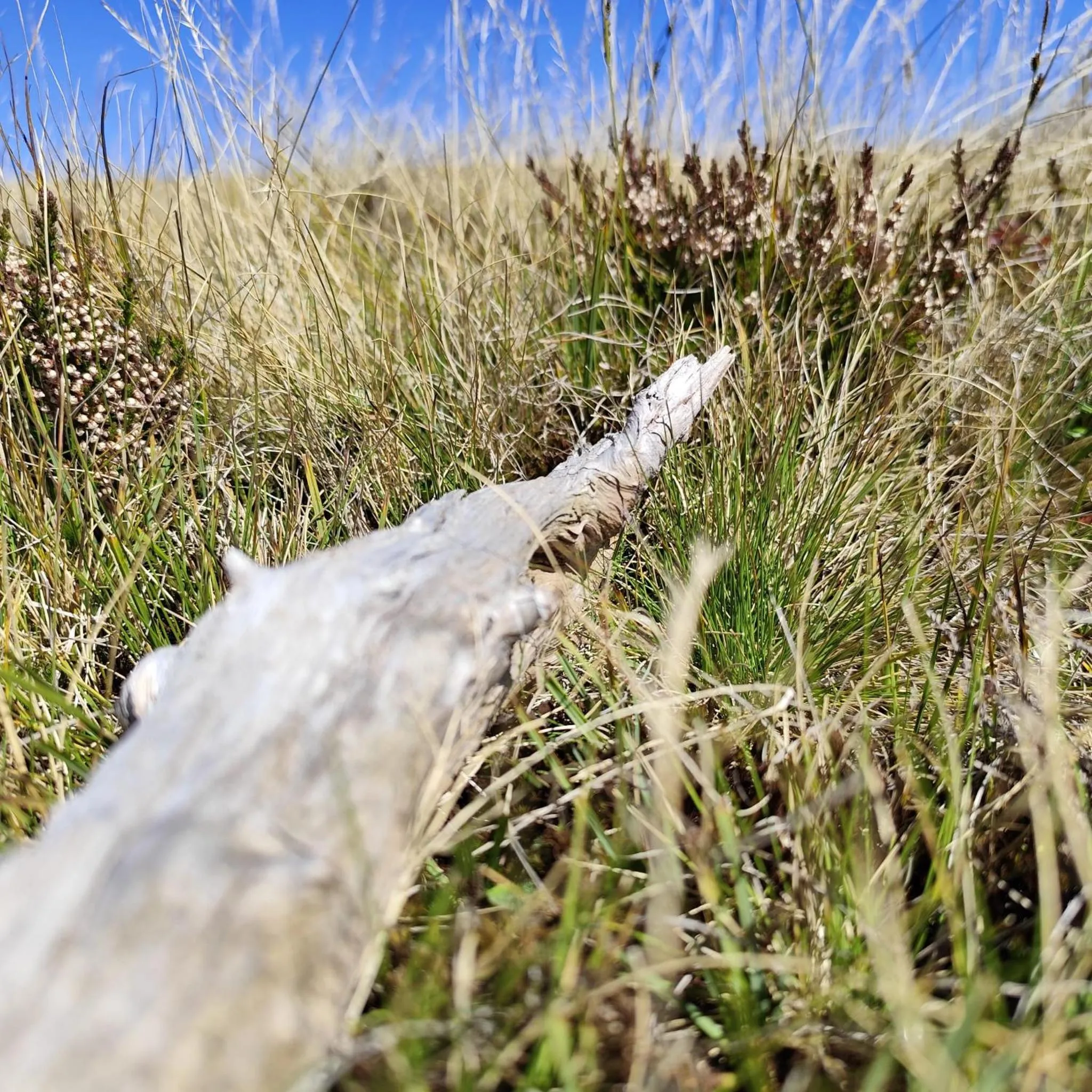 Natural landscape in Hotel Prechtlhof